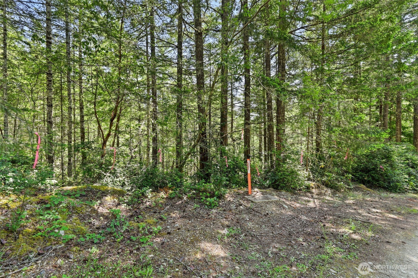 6133 Blue Mountain Lane Property Photo 8