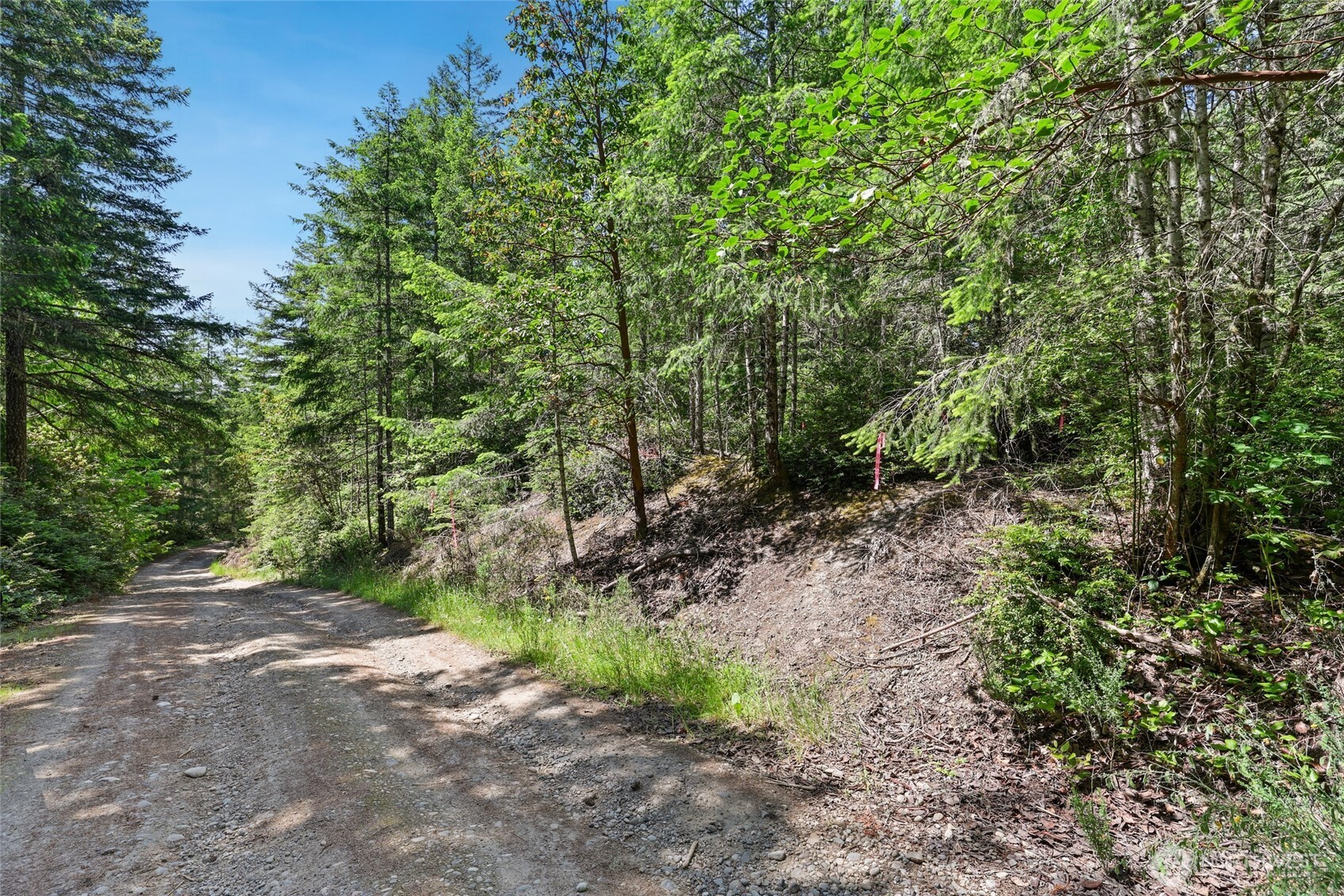 6133 Blue Mountain Lane Property Photo 9