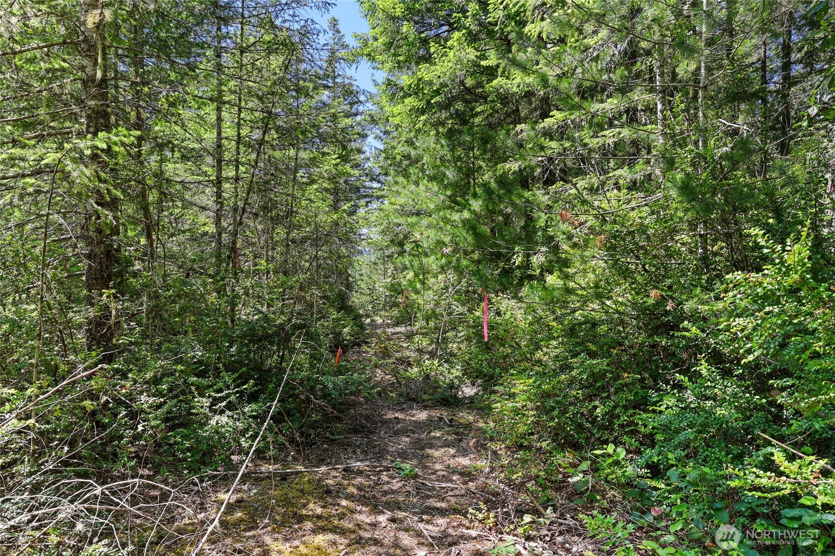 6133 Blue Mountain Lane Property Photo 10