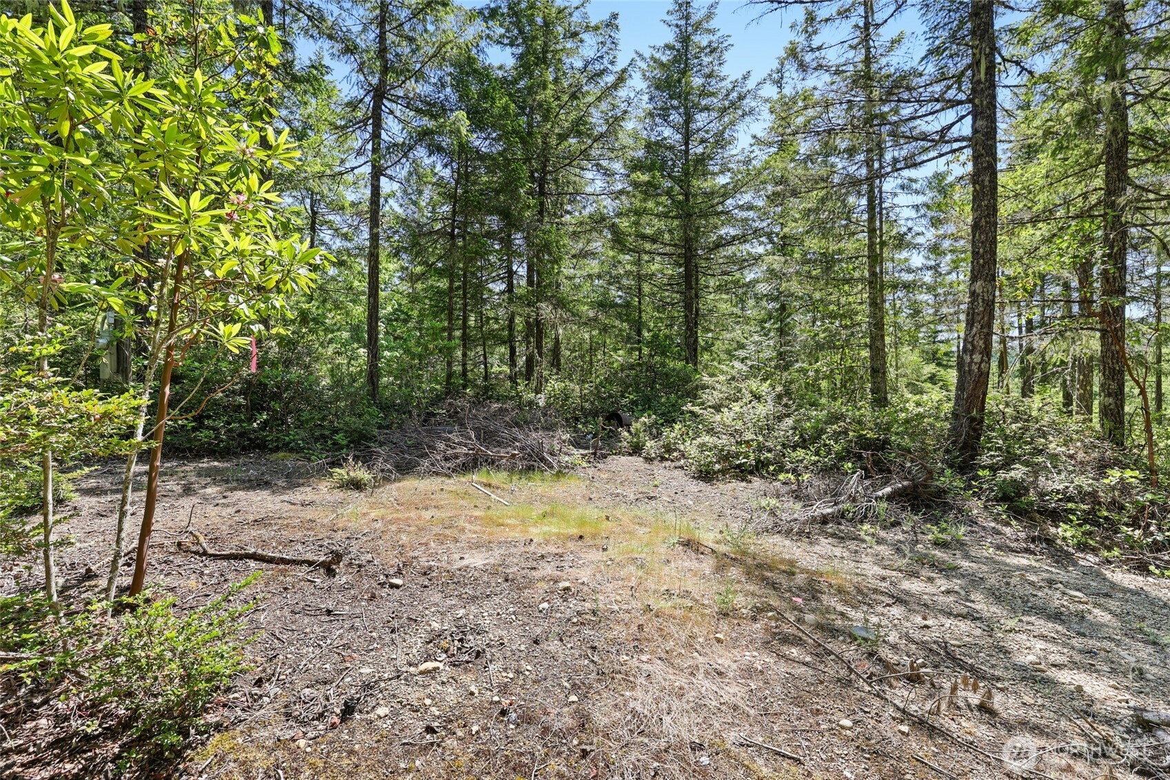 6133 Blue Mountain Lane Property Photo 12