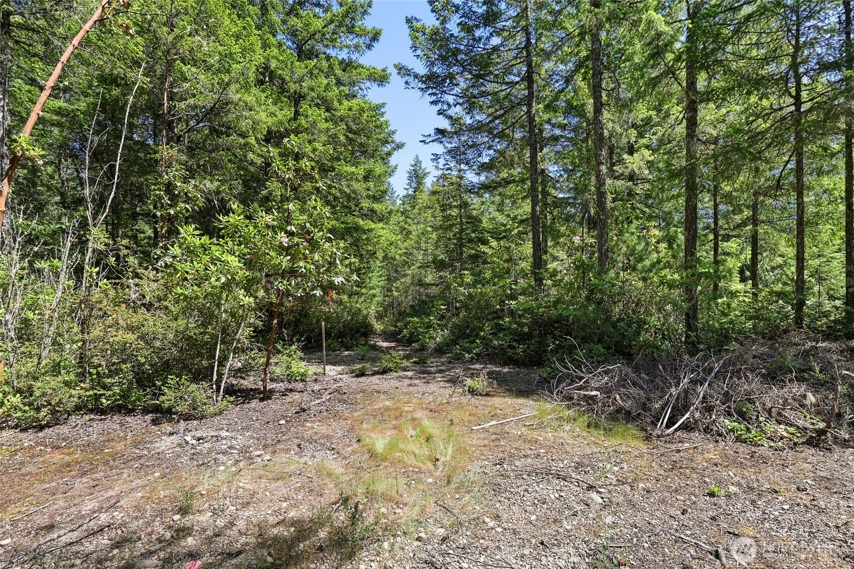 6133 Blue Mountain Lane Property Photo 13