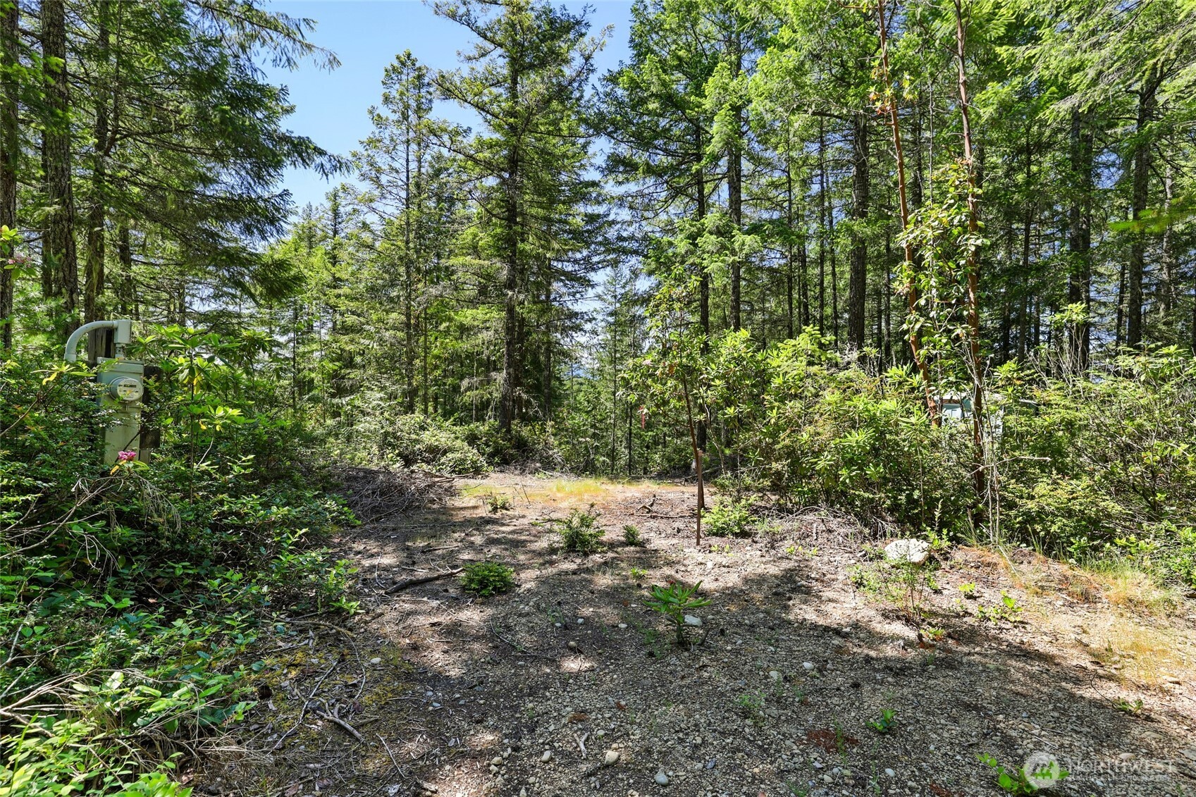 6133 Blue Mountain Lane Property Photo 14
