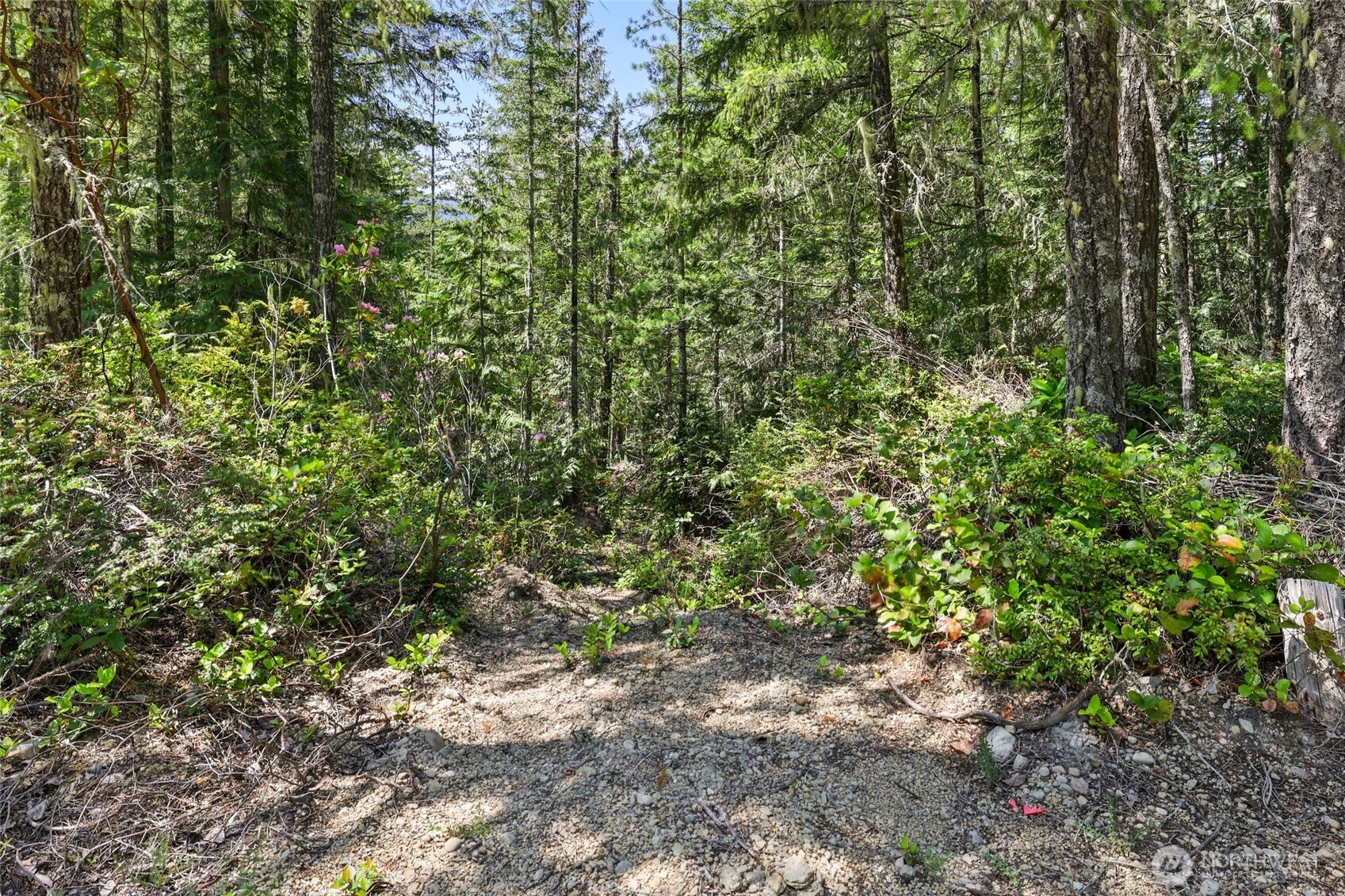 6133 Blue Mountain Lane Property Photo 15