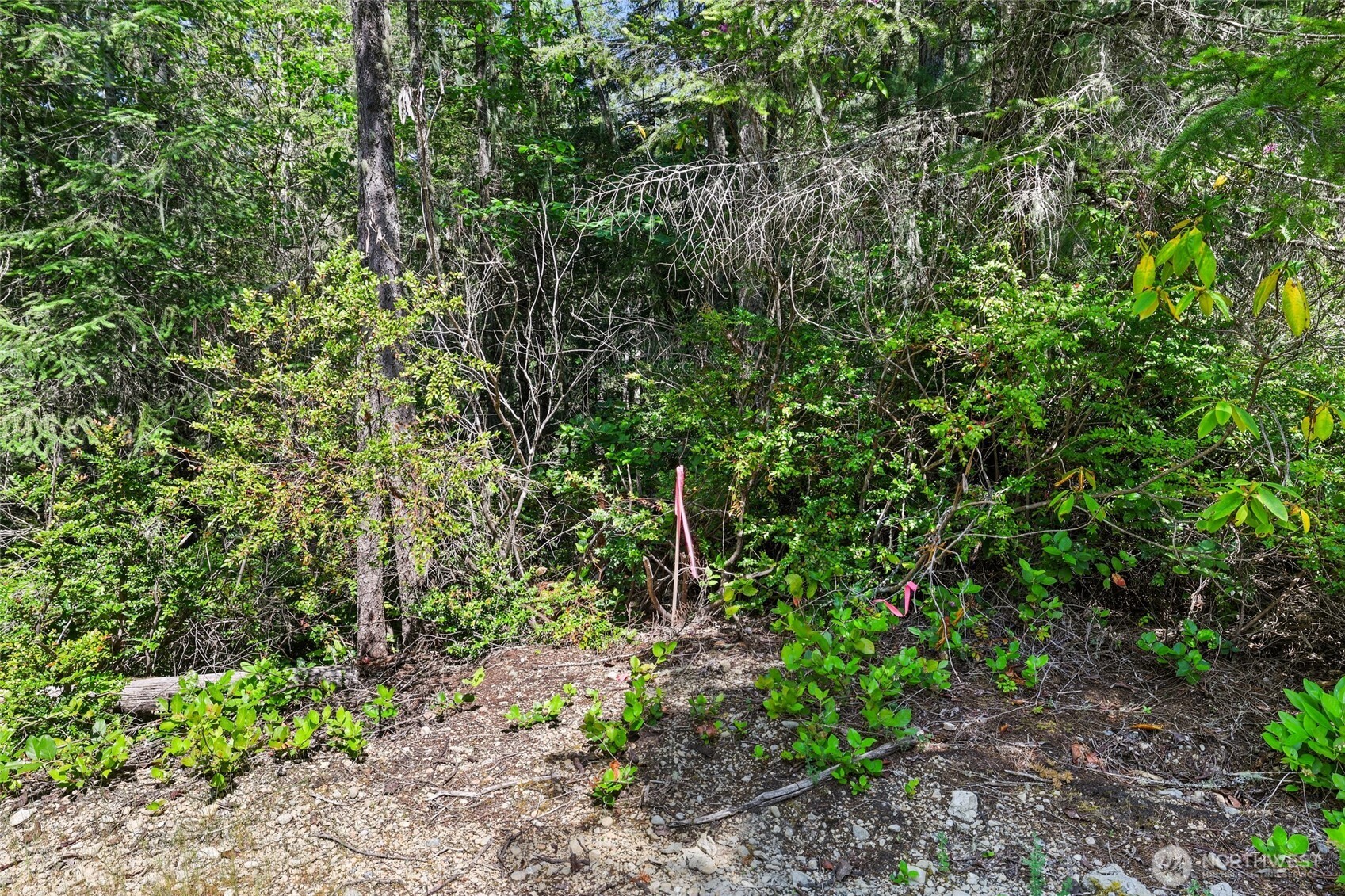 6133 Blue Mountain Lane Property Photo 16