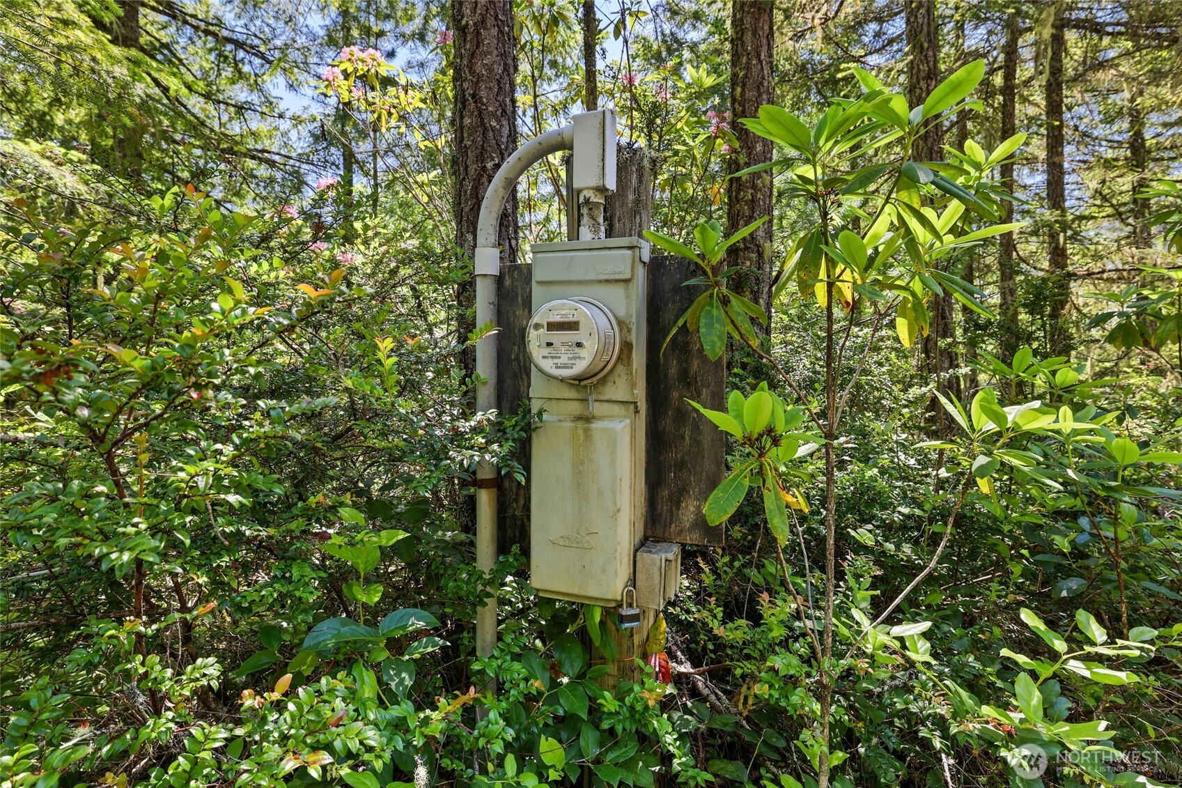 6133 Blue Mountain Lane Property Photo 17