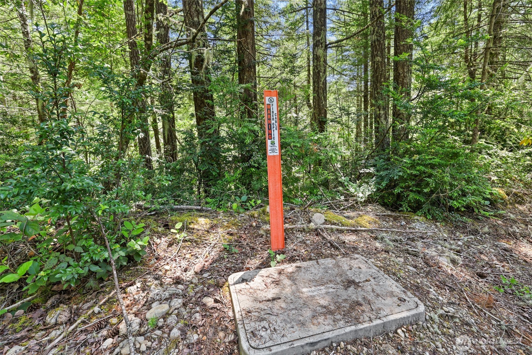 6133 Blue Mountain Lane Property Photo 18