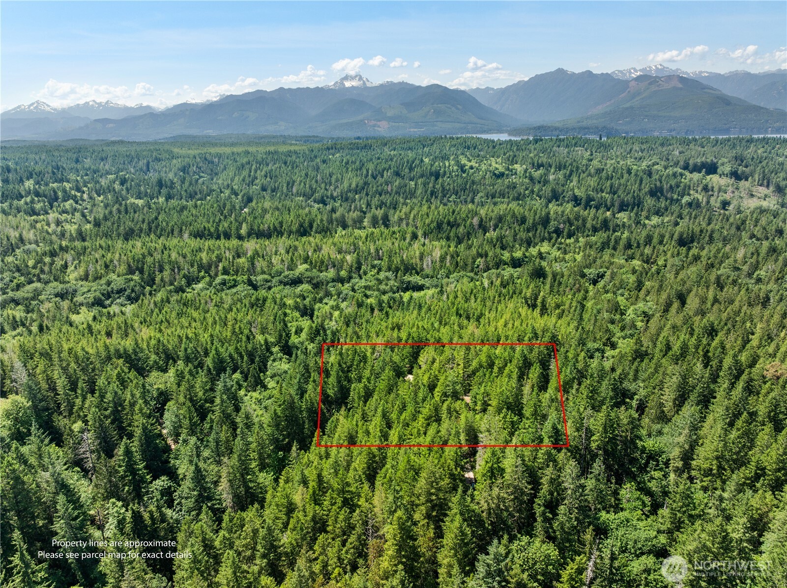6133 Blue Mountain Lane Property Photo 19