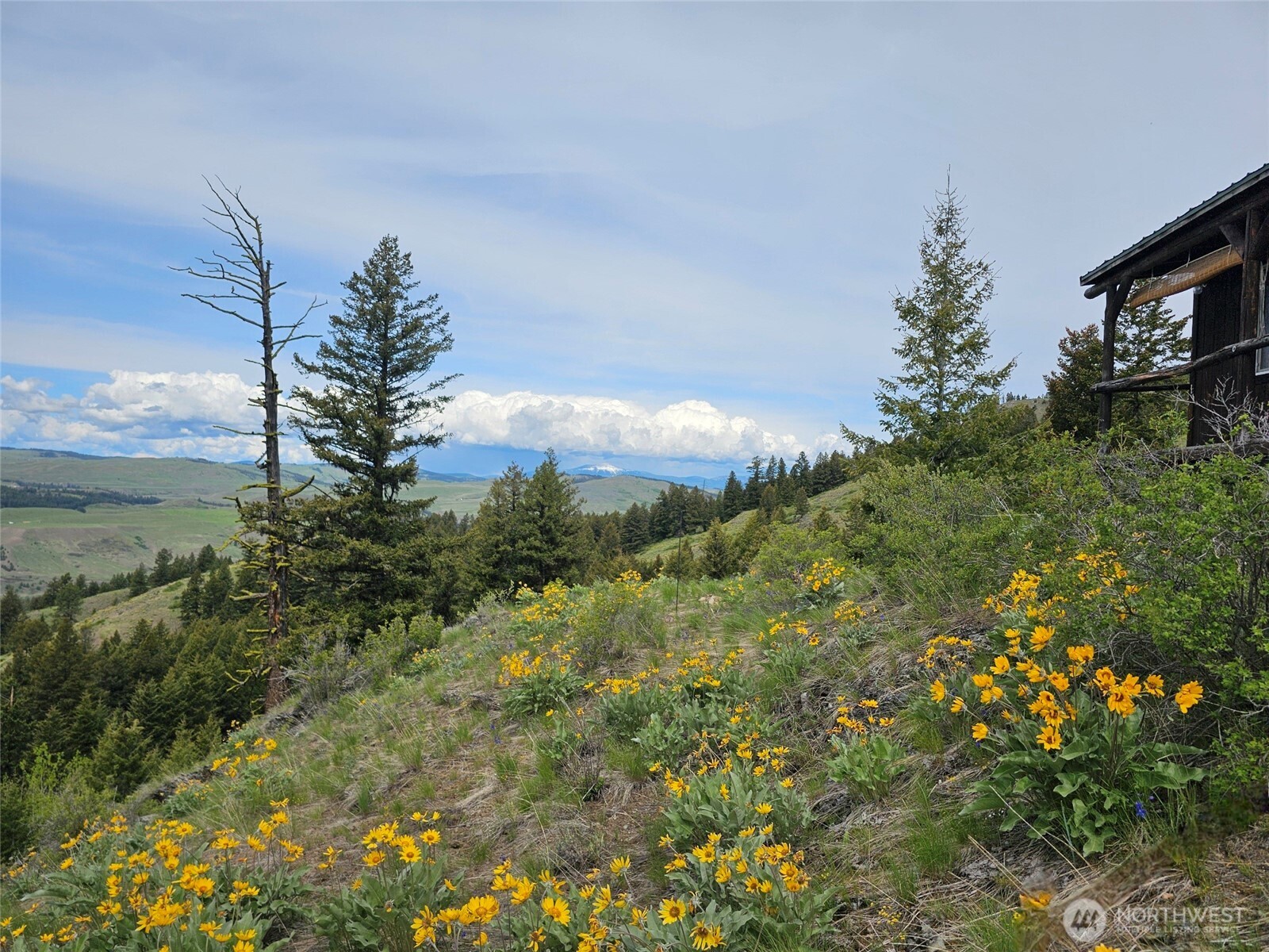 34 Buckhorn Road Property Photo 2