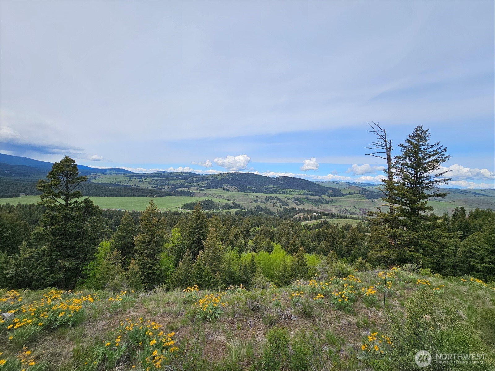 34 Buckhorn Road Property Photo 7