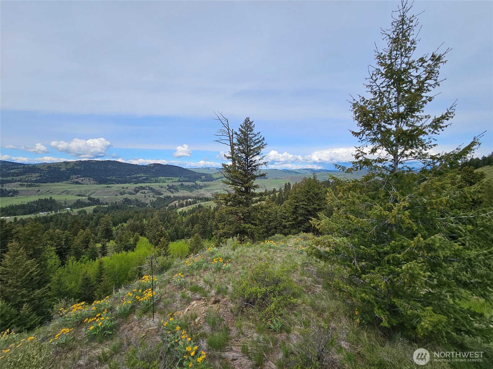 34 Buckhorn Road Property Photo 8