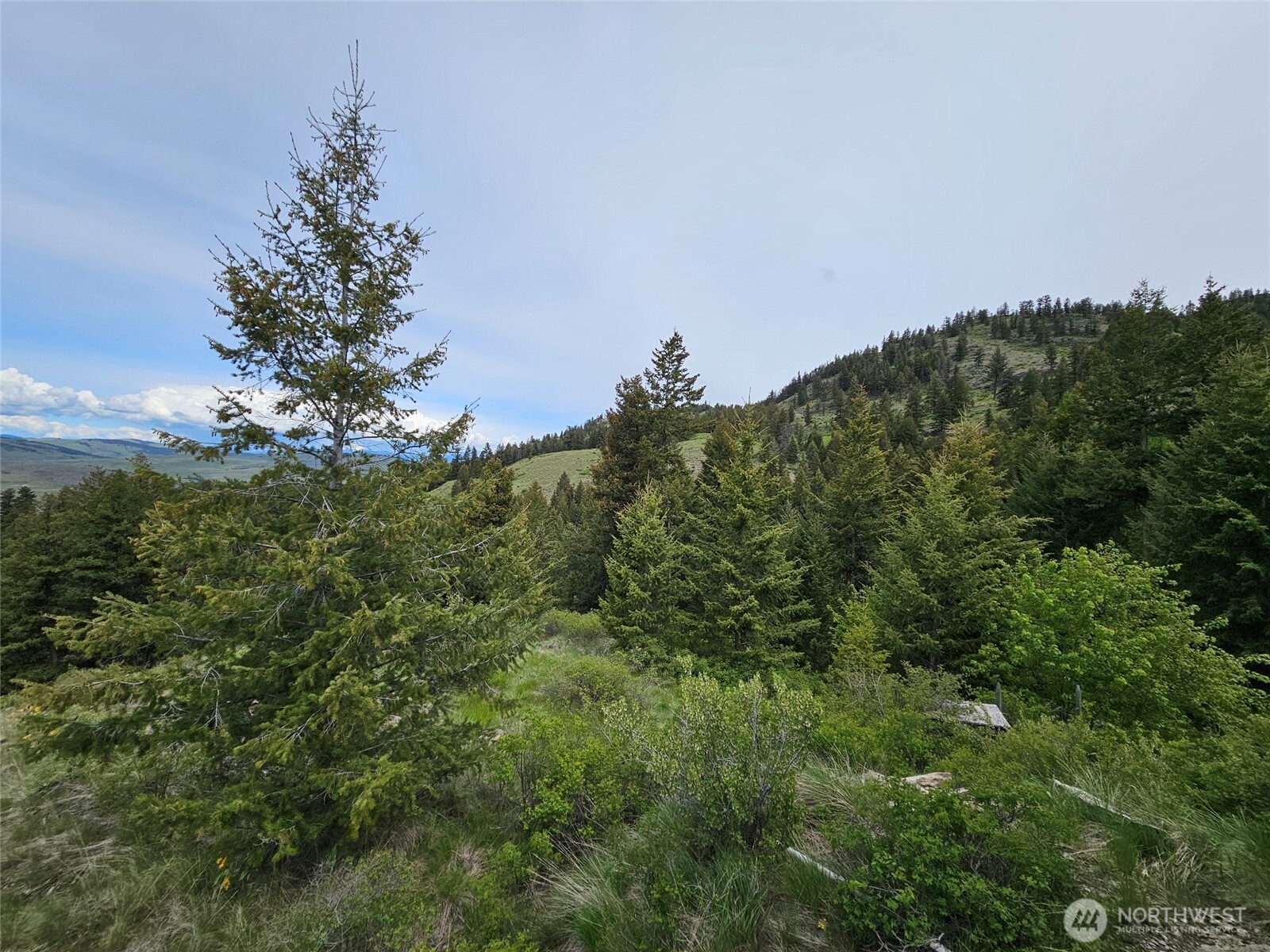 34 Buckhorn Road Property Photo 10