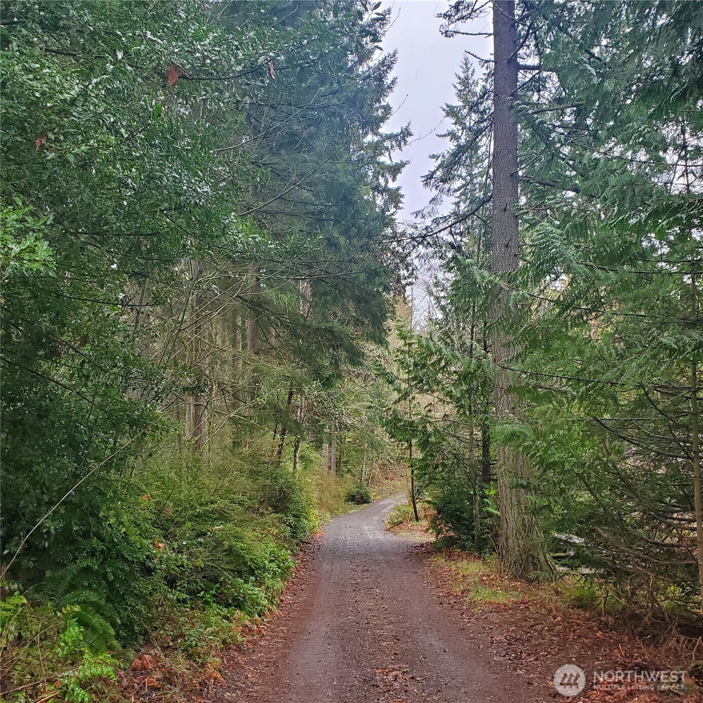 0 Old Military Road Property Photo 1