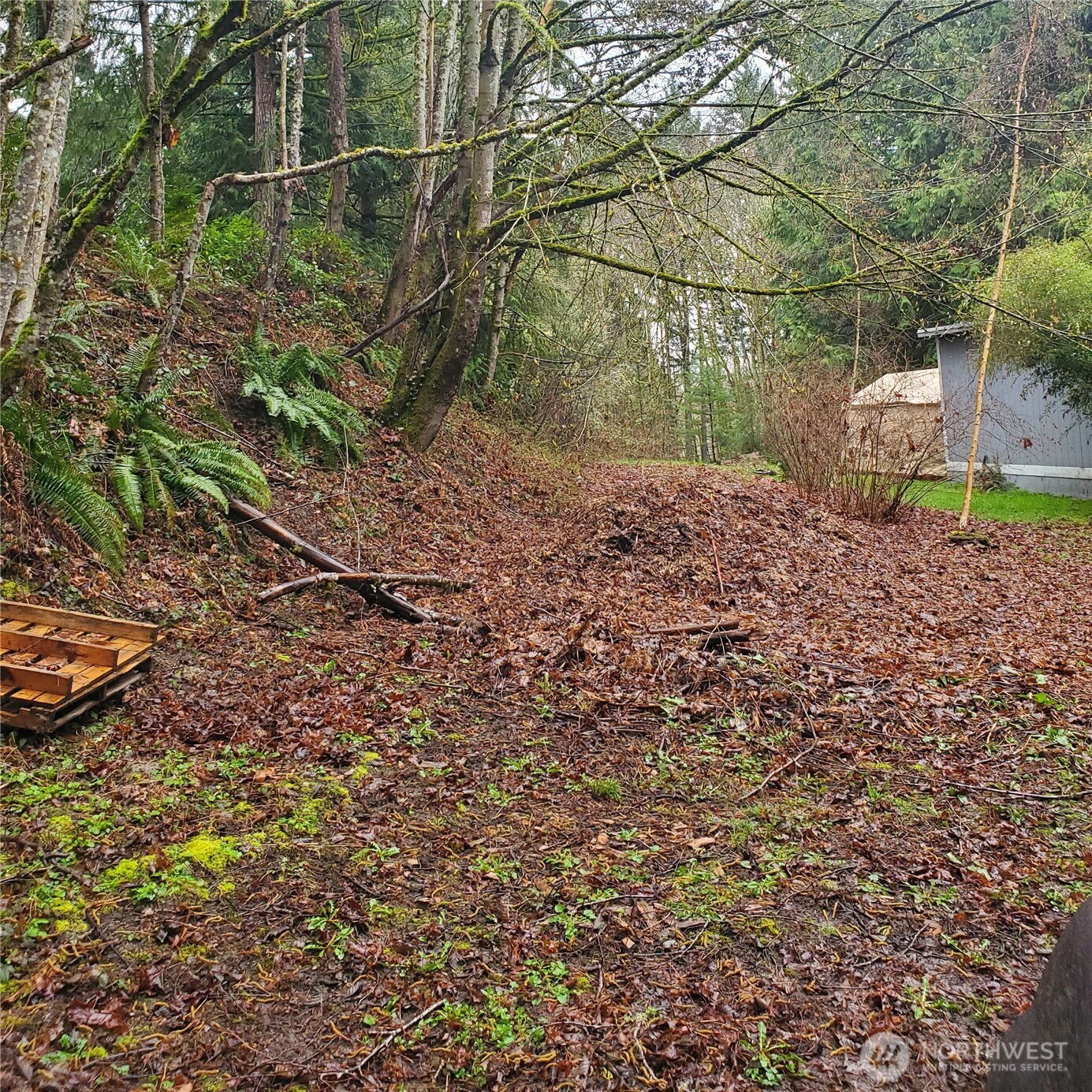 0 Old Military Road Property Photo 2