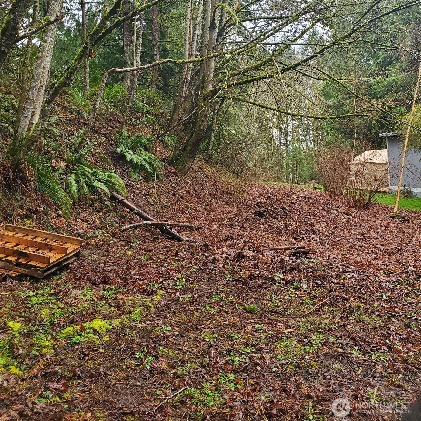 0 Old Military Road Property Photo 3