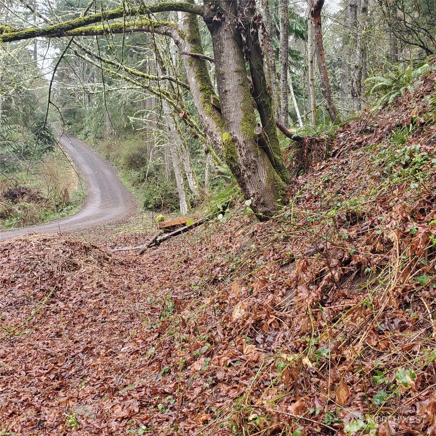 0 Old Military Road Property Photo 4