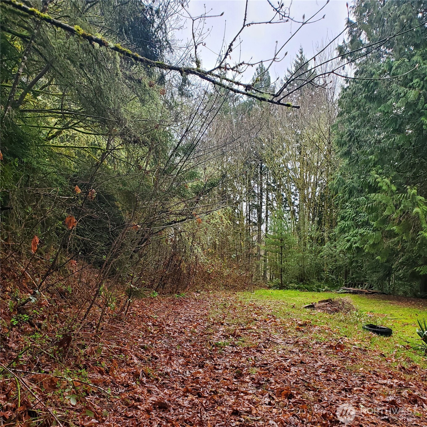 0 Old Military Road Property Photo 5