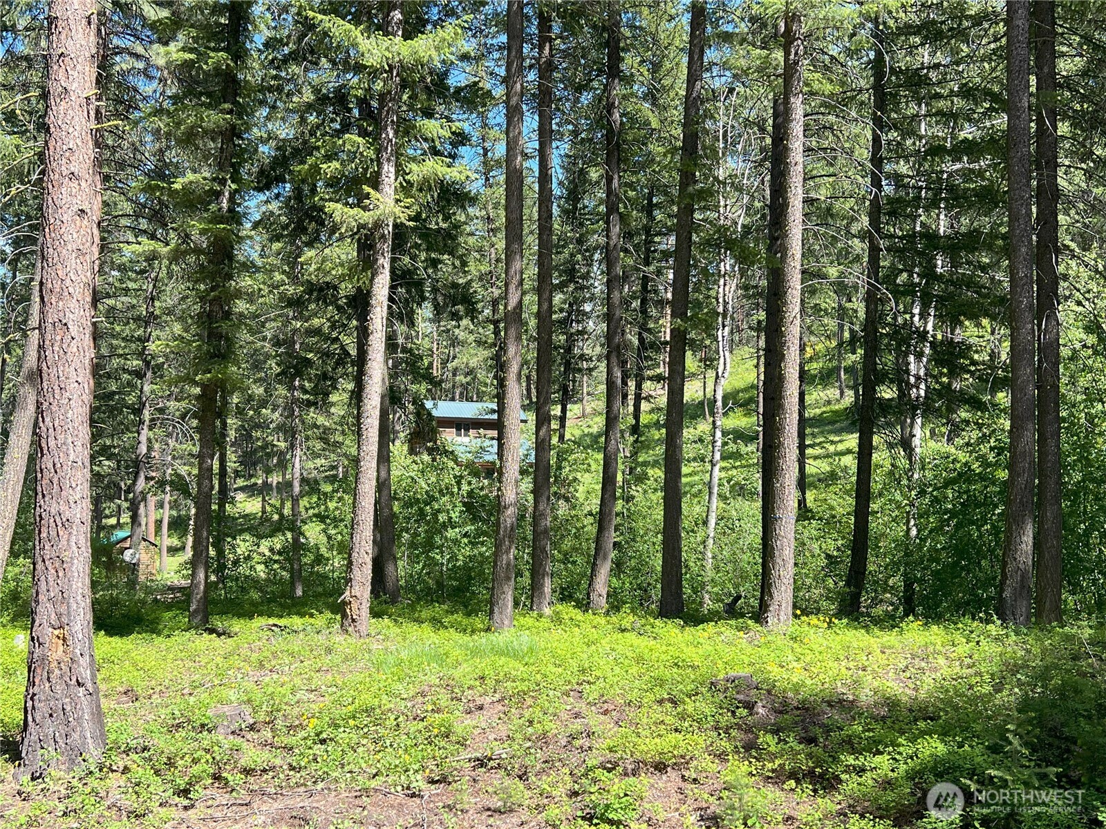 99 Blackjack Road Property Photo 33