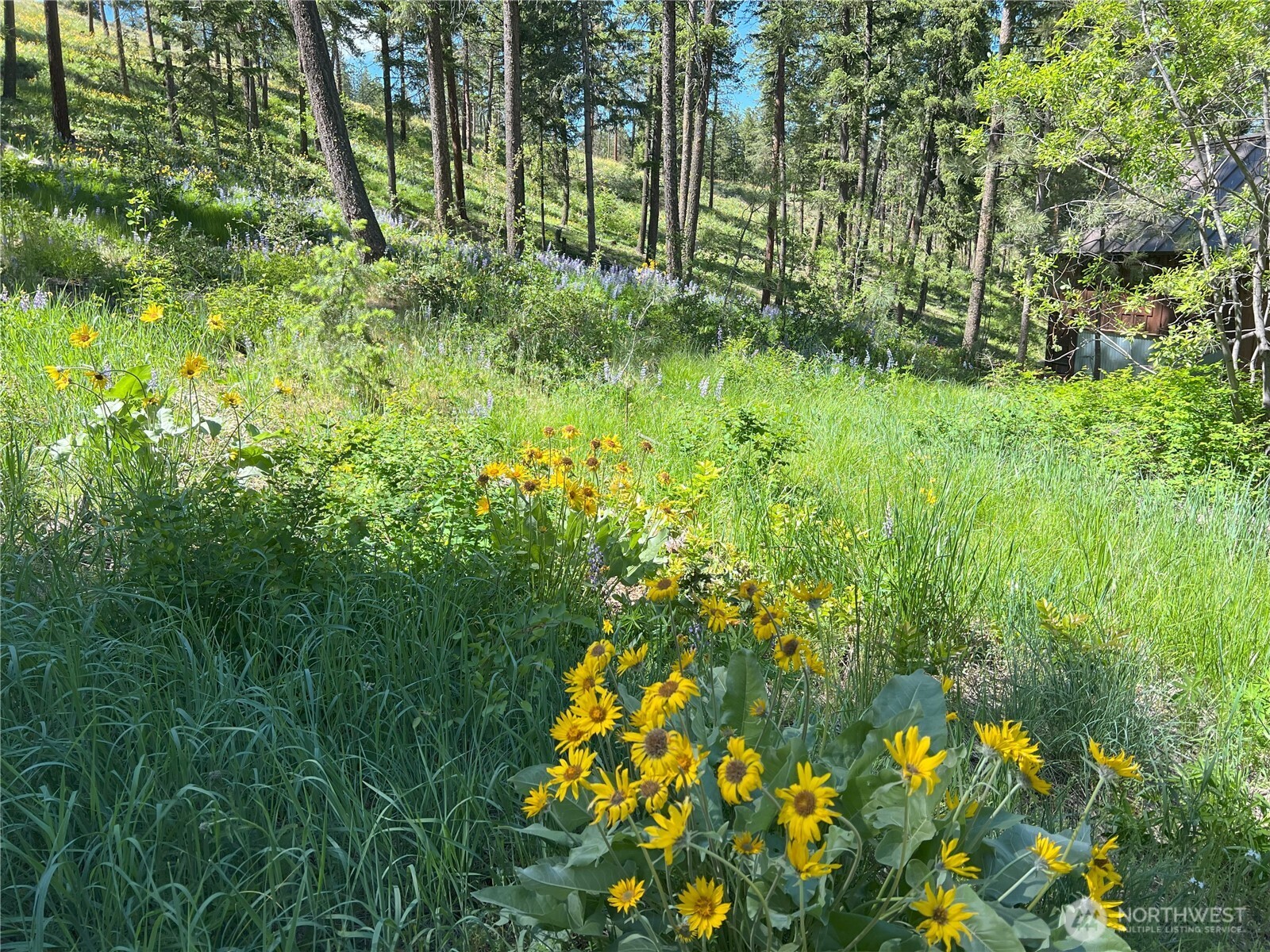 99 Blackjack Road Property Photo 37