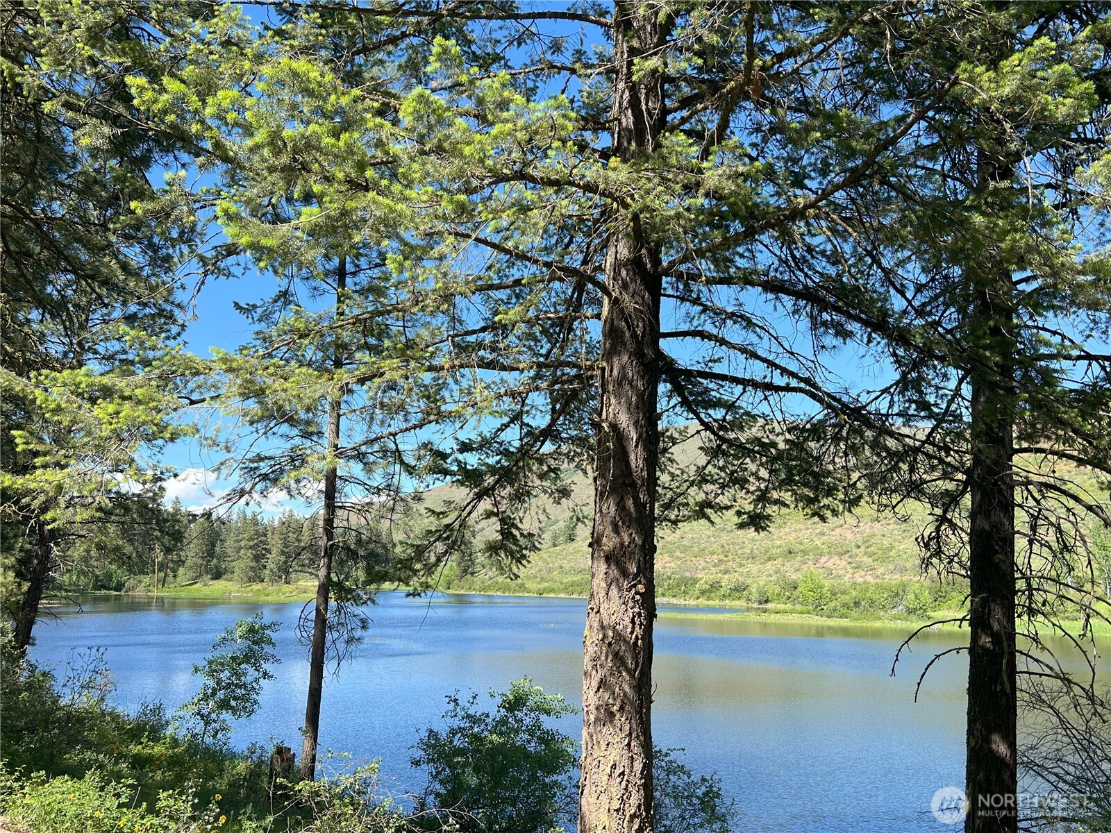 99 Blackjack Road Property Photo 38