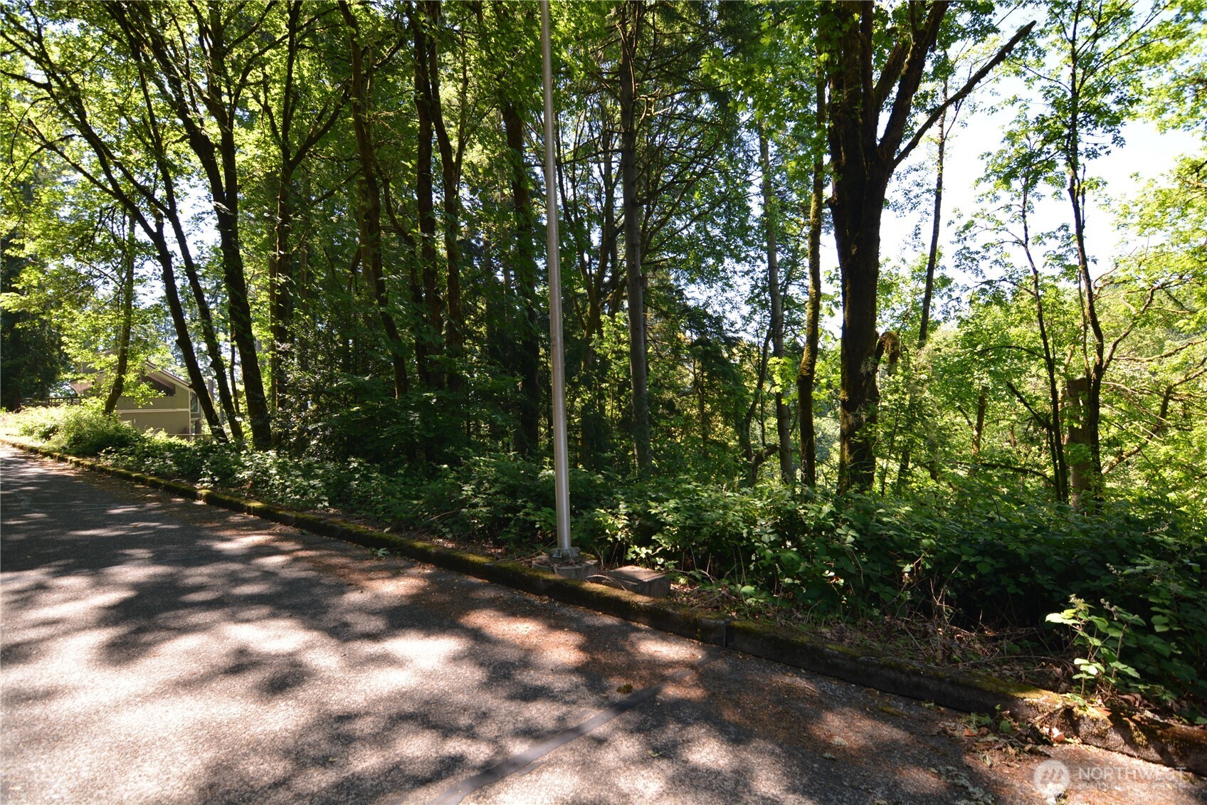 2429 Archwood Drive Property Photo 1