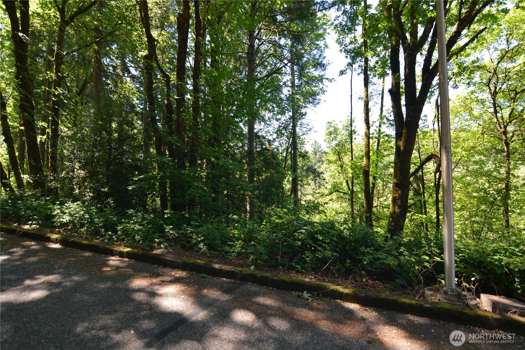 2429 Archwood Drive Property Photo 2