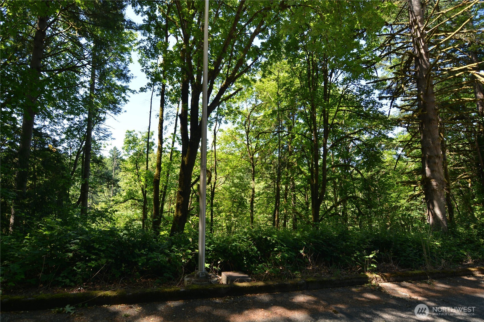 2429 Archwood Drive Property Photo 3