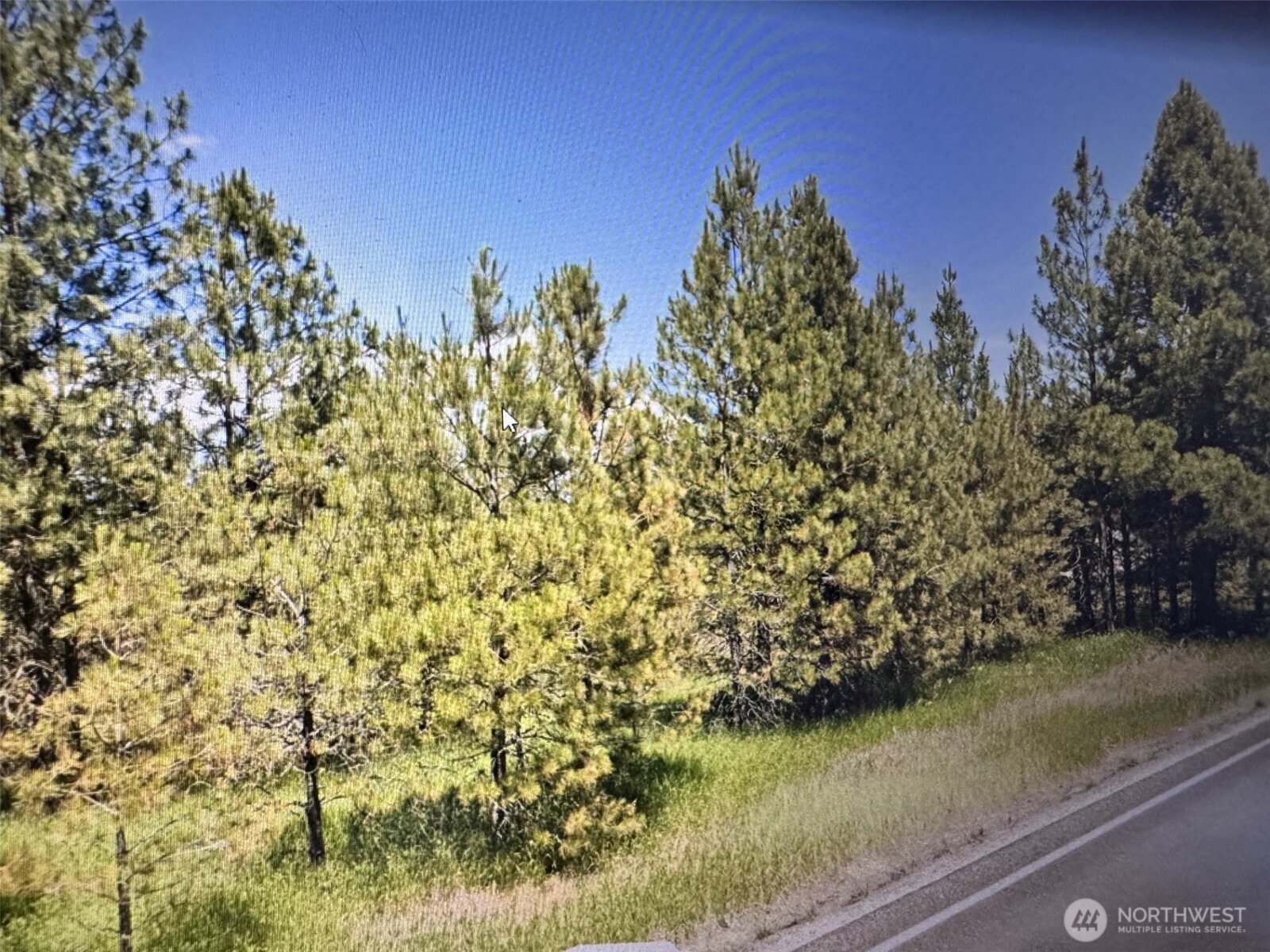 1 Xxx Hwy 231 Property Photo 1