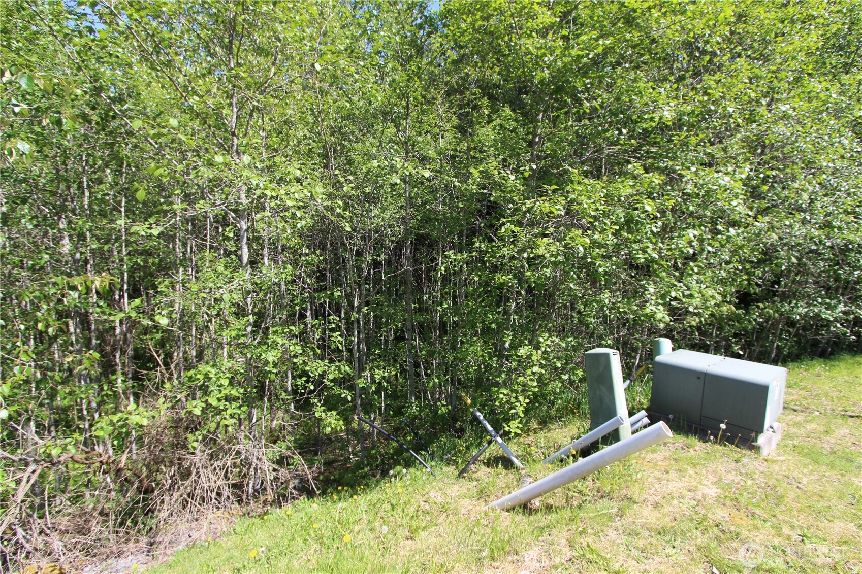 4619 Beaver Pond Drive Property Photo 4