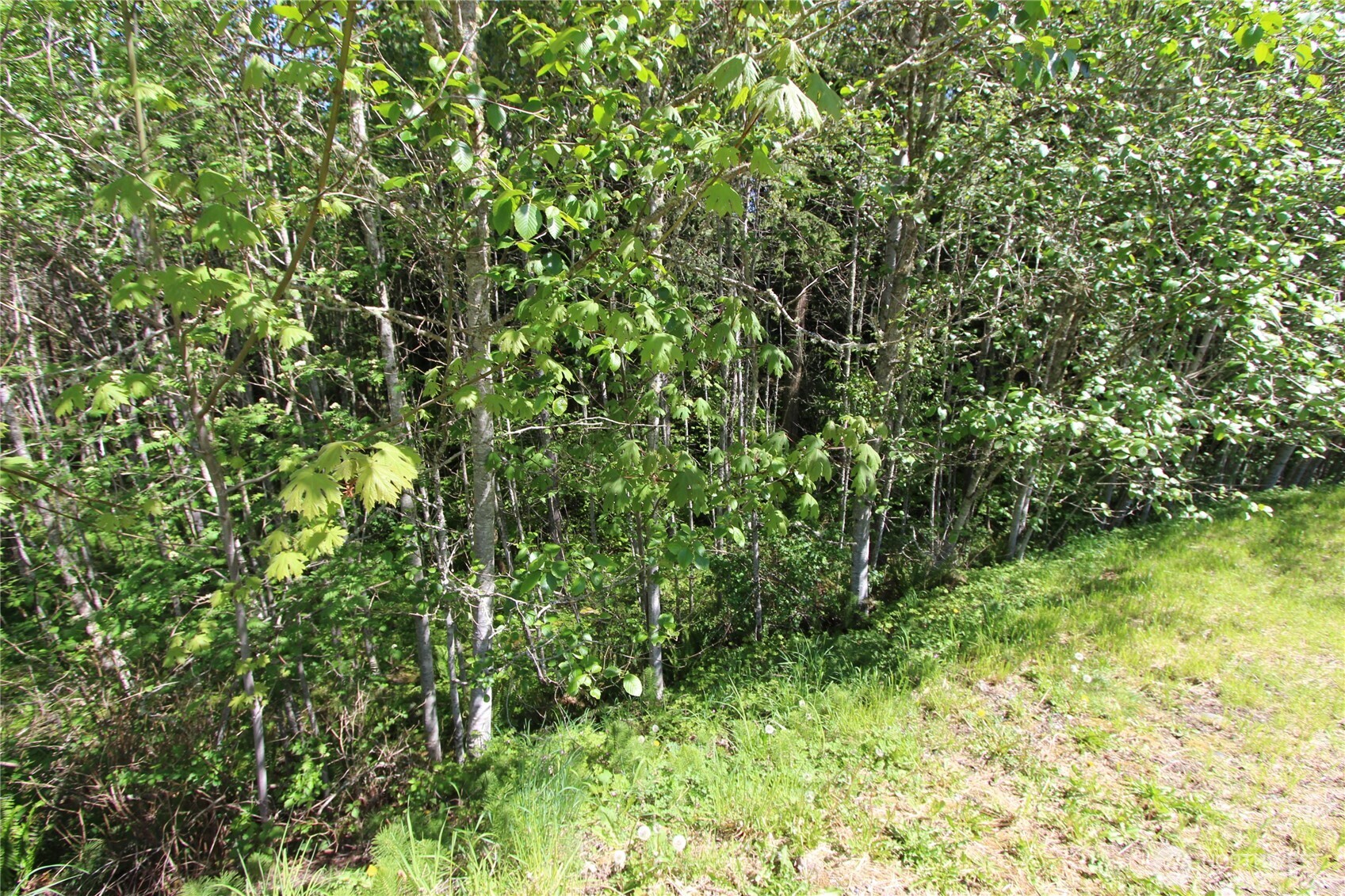 4619 Beaver Pond Drive Property Photo 6