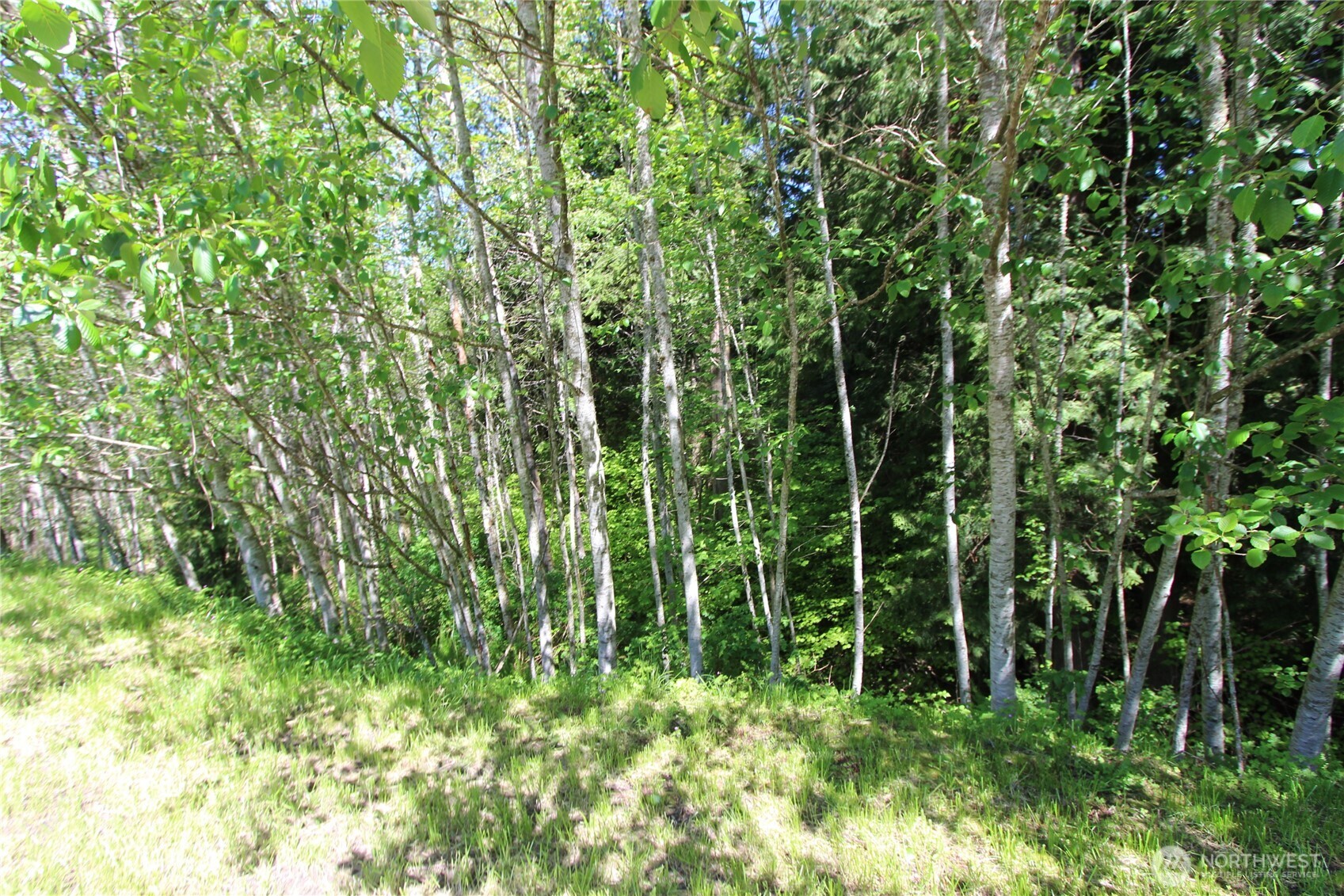 4619 Beaver Pond Drive Property Photo 8