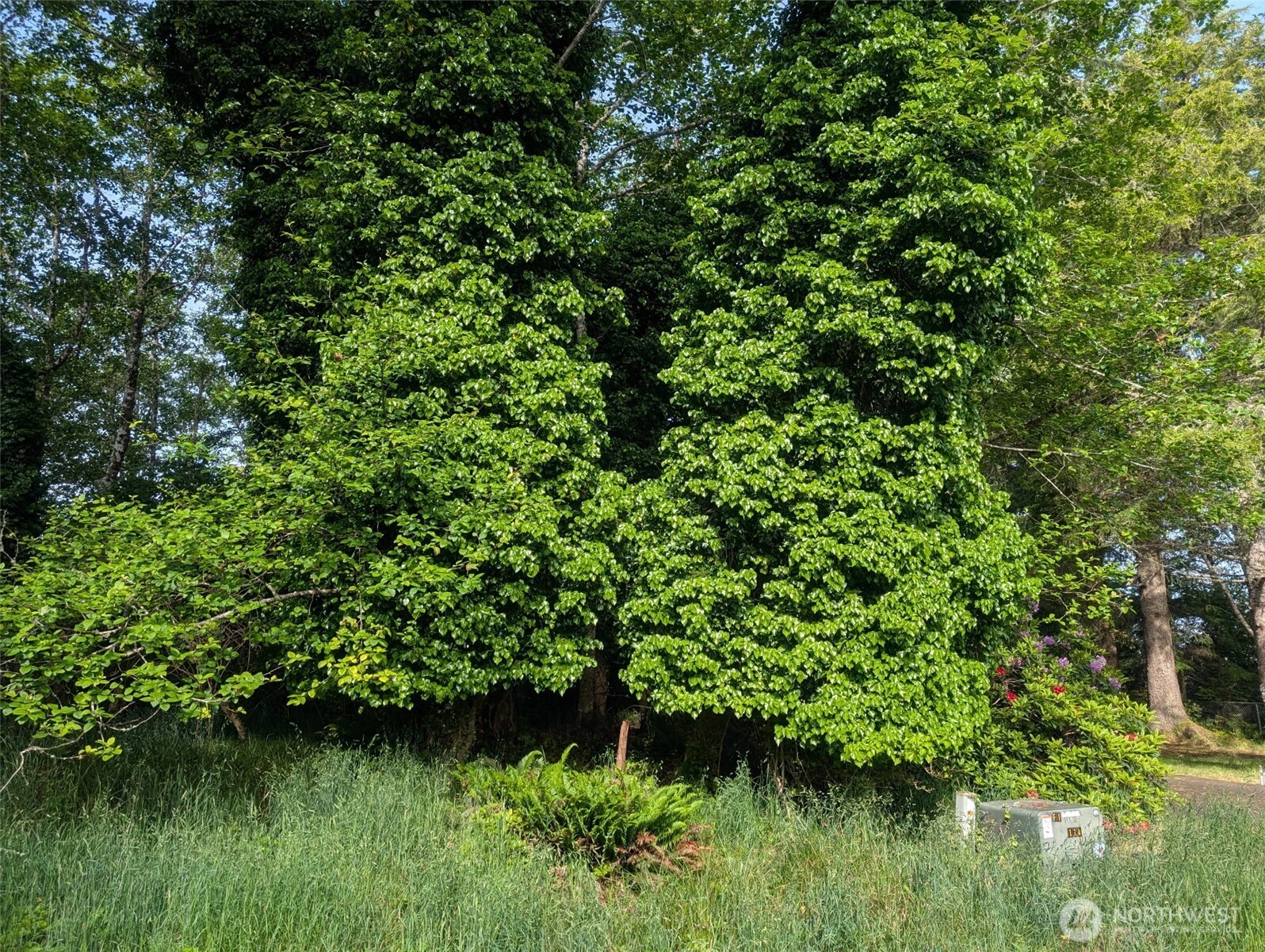 413 Lake View Loop Property Photo 9