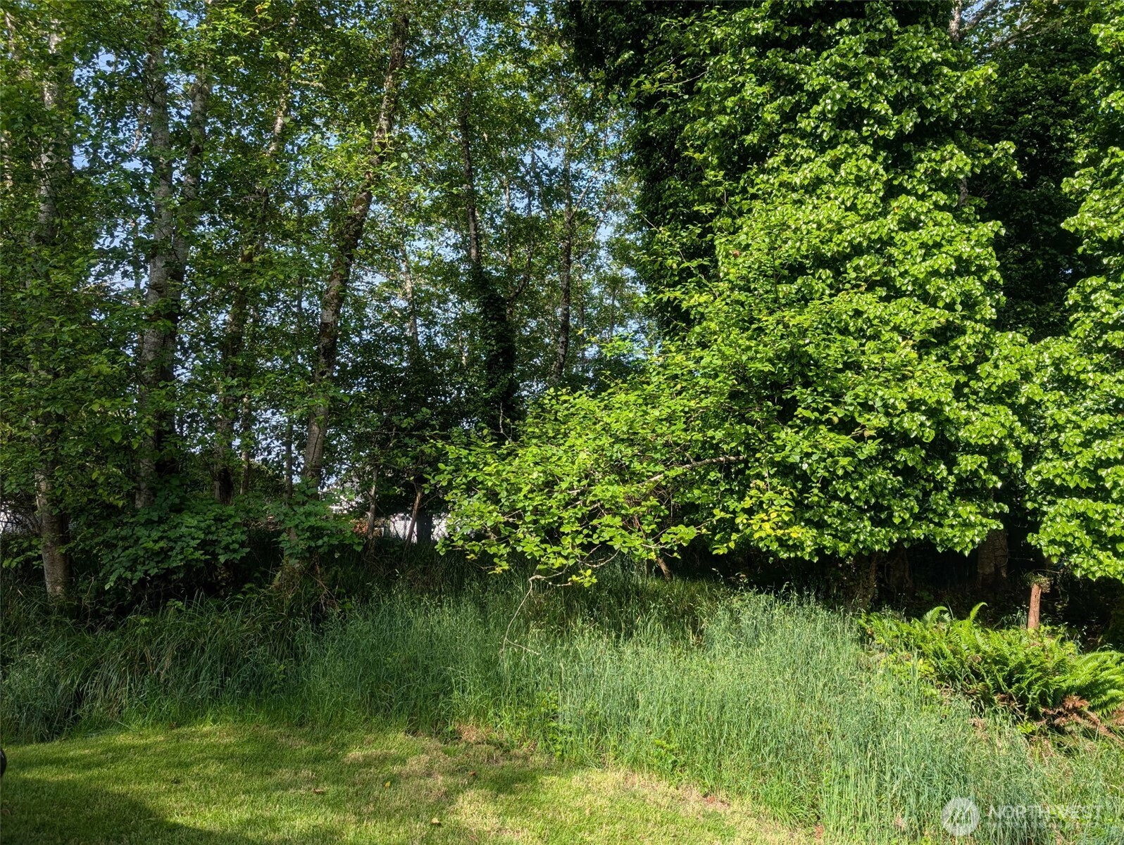 413 Lake View Loop Property Photo 10