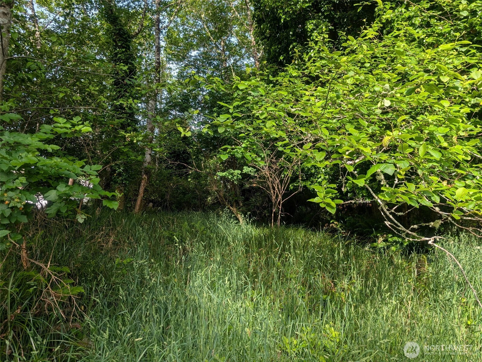 413 Lake View Loop Property Photo 11