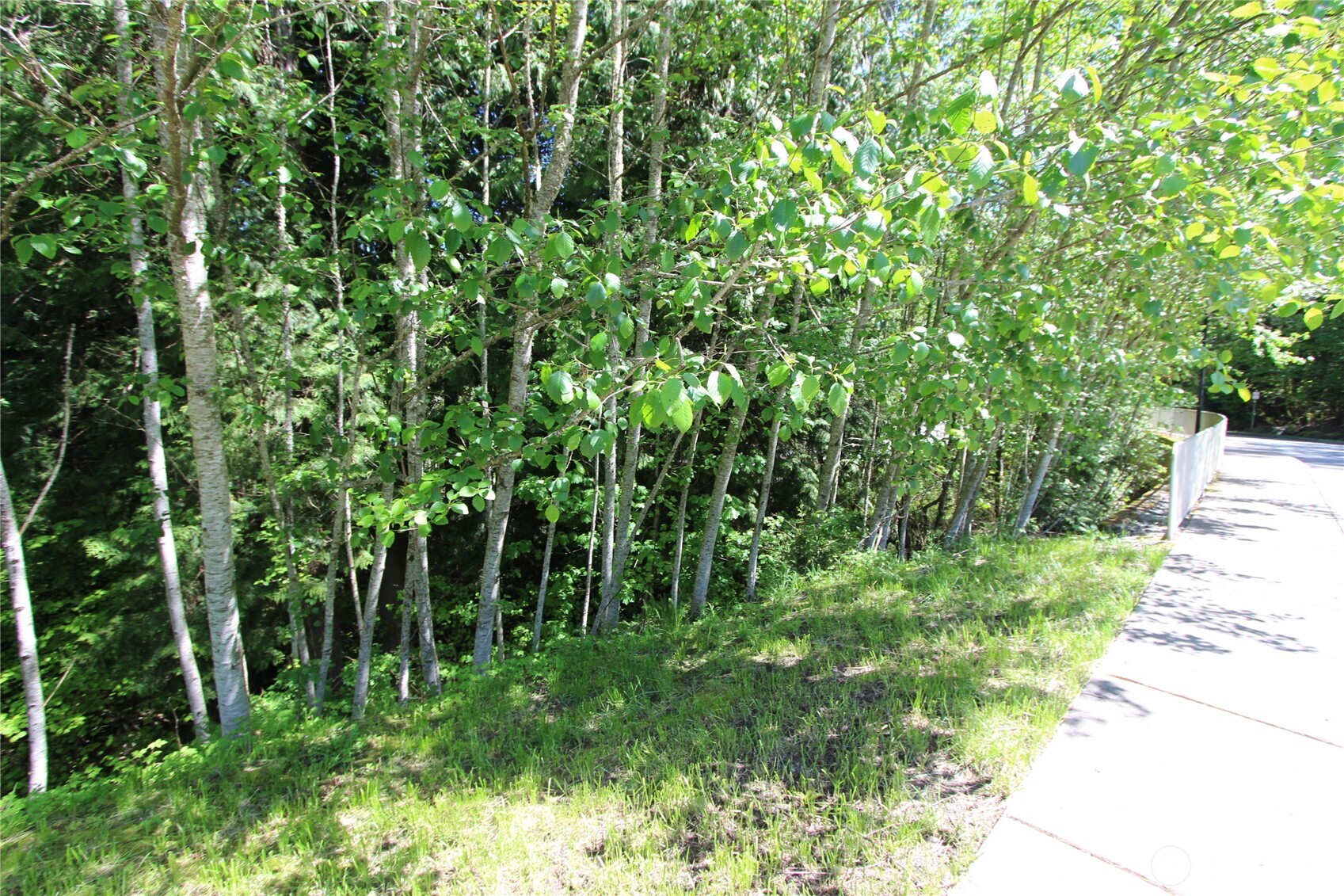 4621 Beaver Pond Drive Property Photo 4