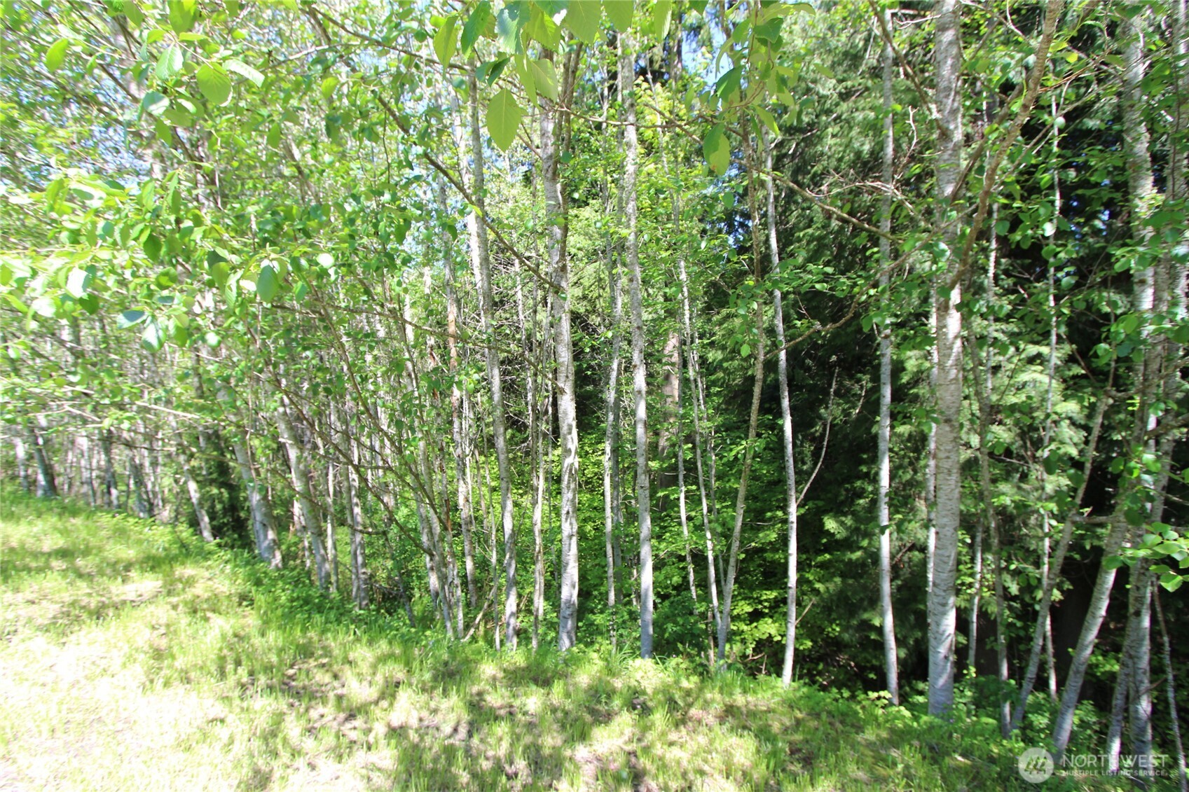 4621 Beaver Pond Drive Property Photo 7