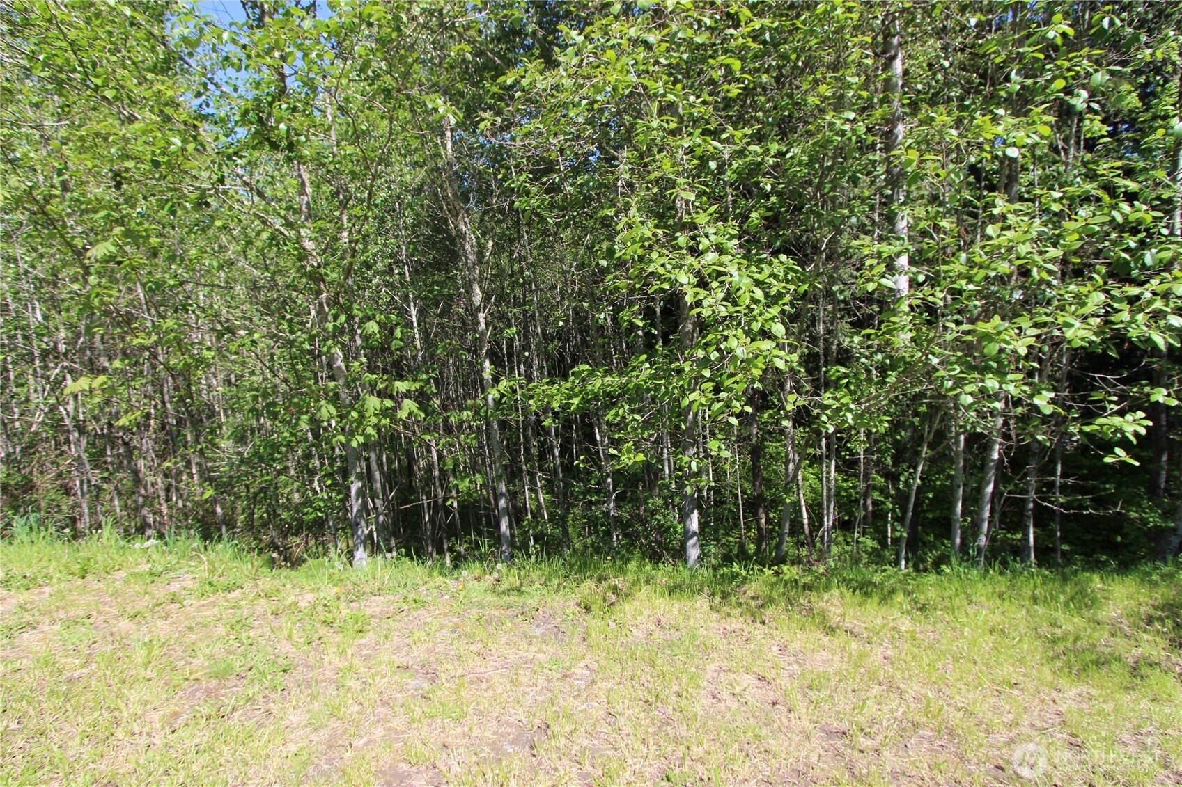 4621 Beaver Pond Drive Property Photo 8