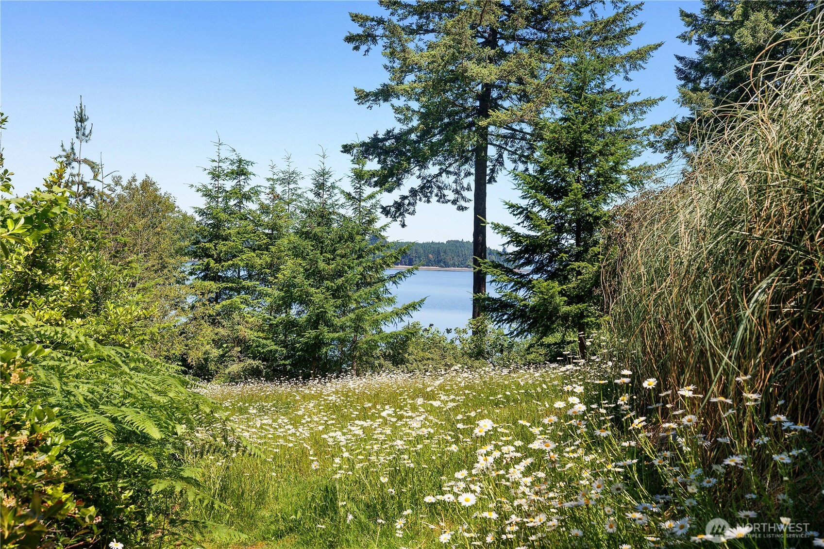 5201 Nw Scott Road Property Photo 31