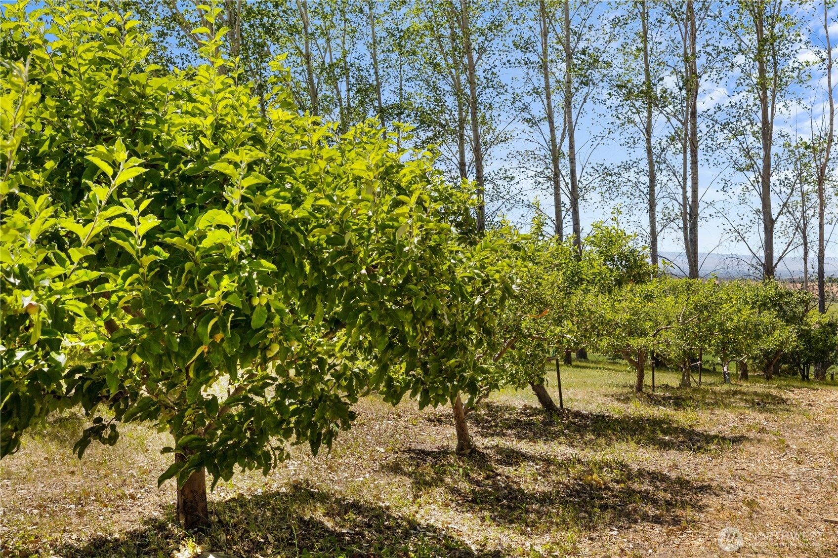 559 4th Parallel Road Property Photo 34
