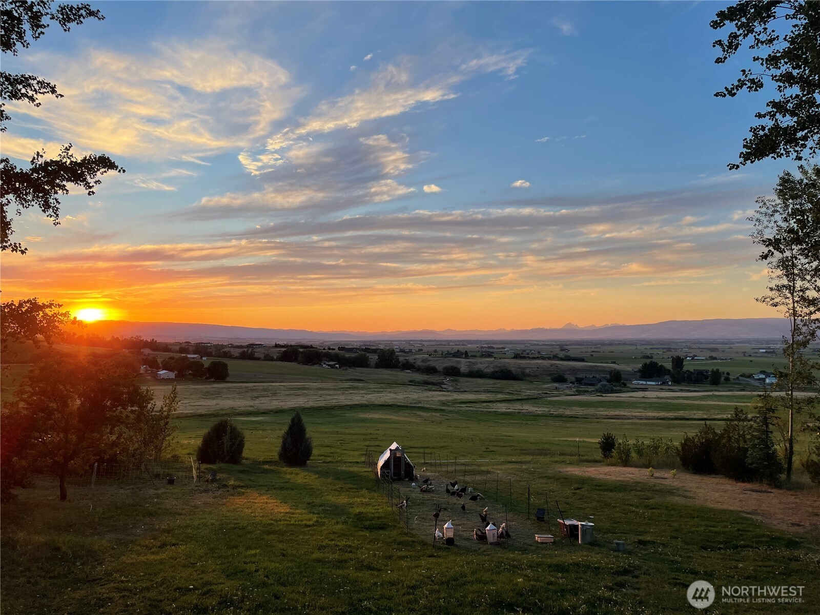 559 4th Parallel Road Property Photo 39