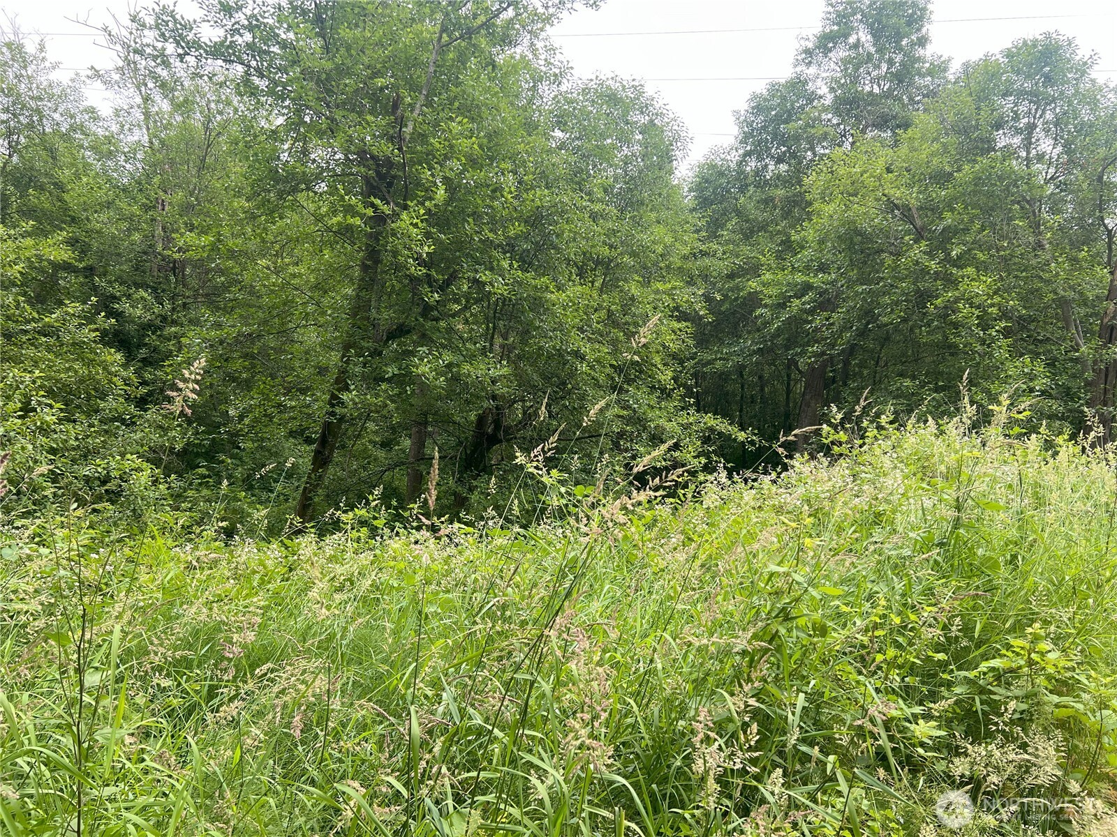 47 Xx S 109th Street Property Photo 5