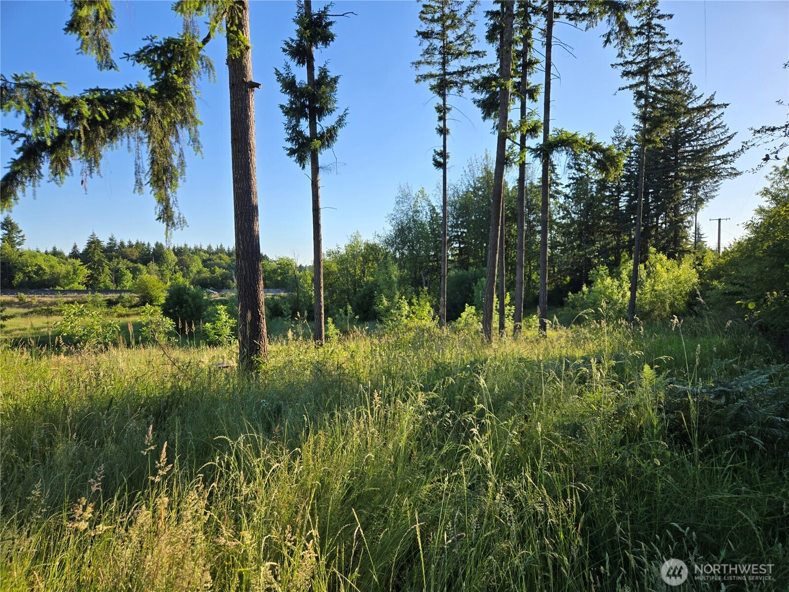 5347 216th Avenue Property Photo 19