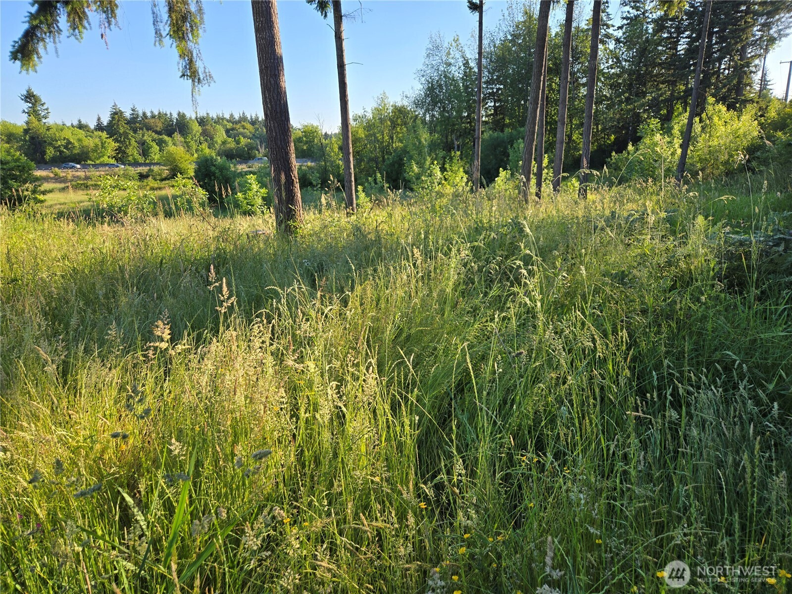 5347 216th Avenue Property Photo 21