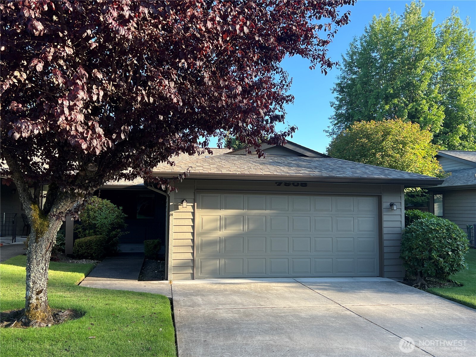 7908 53rd Street Property Photo 1