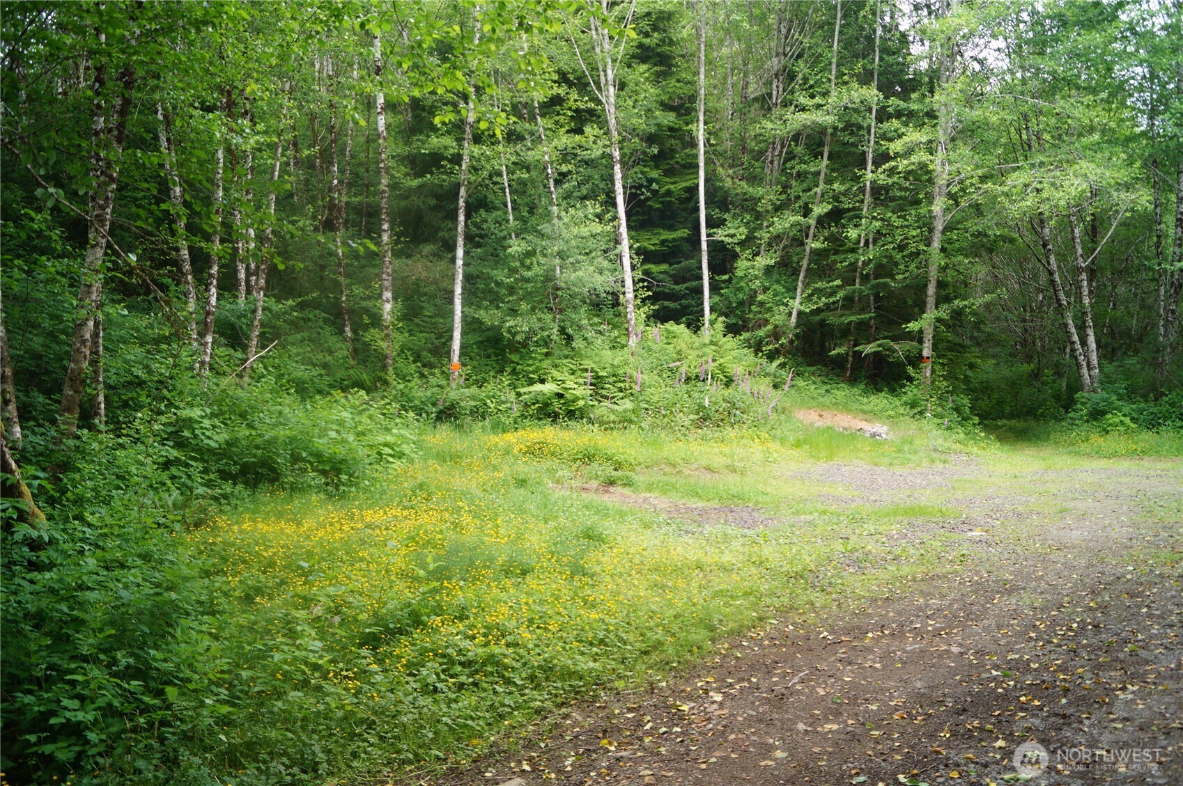 0 Off Of Panhandle Road Property Photo 1