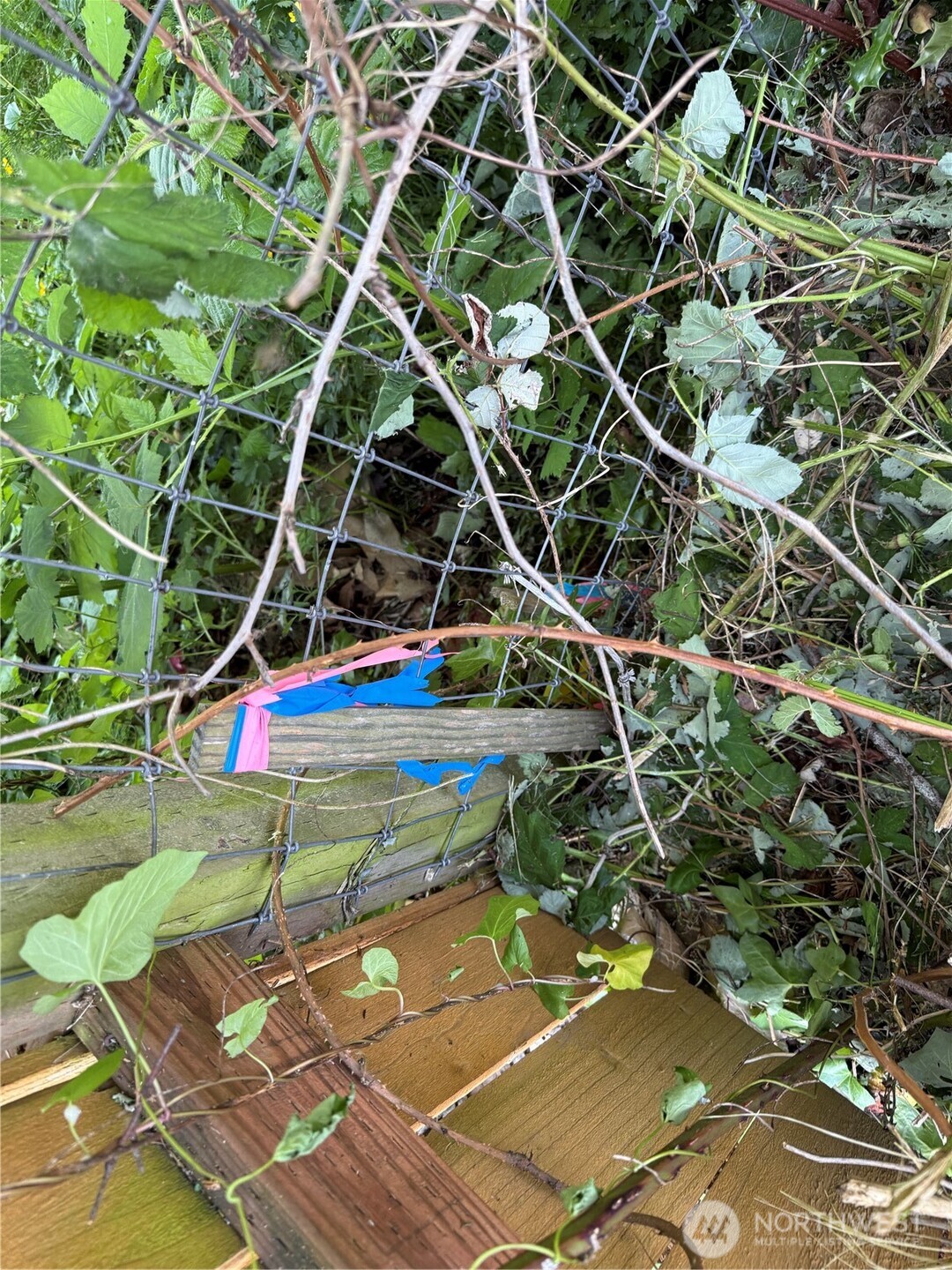 607 E Illinois Street Property Photo 8