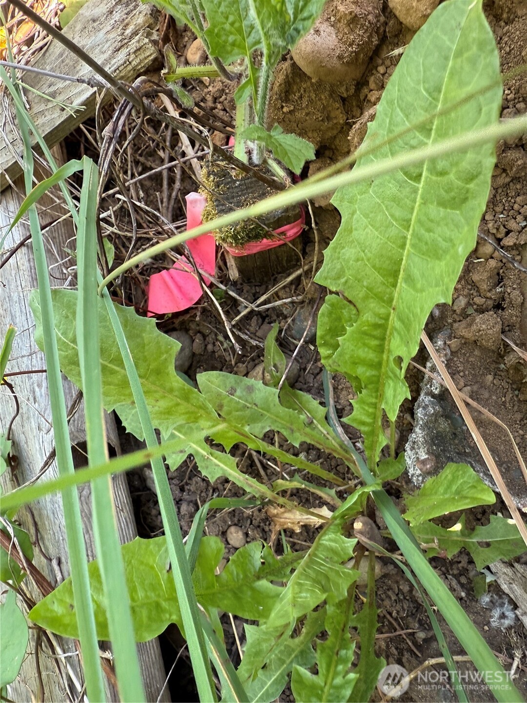 607 E Illinois Street Property Photo 9