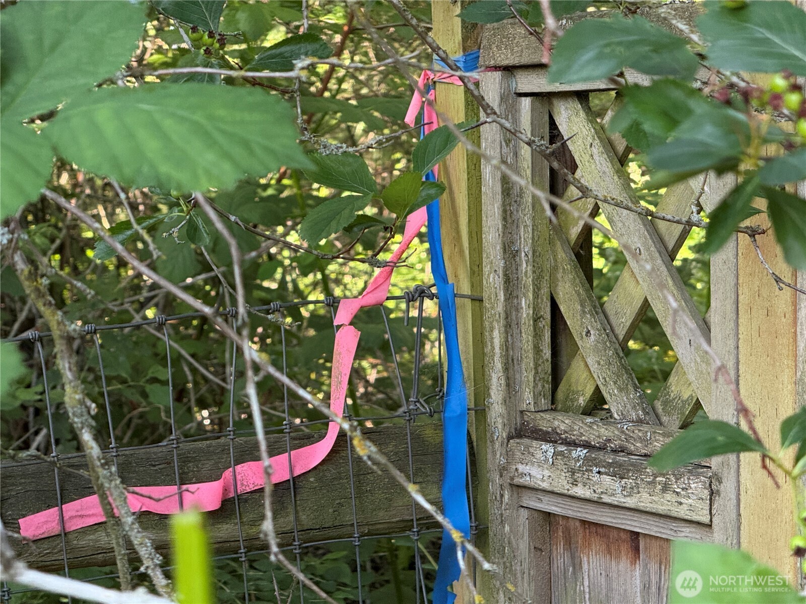 607 E Illinois Street Property Photo 10