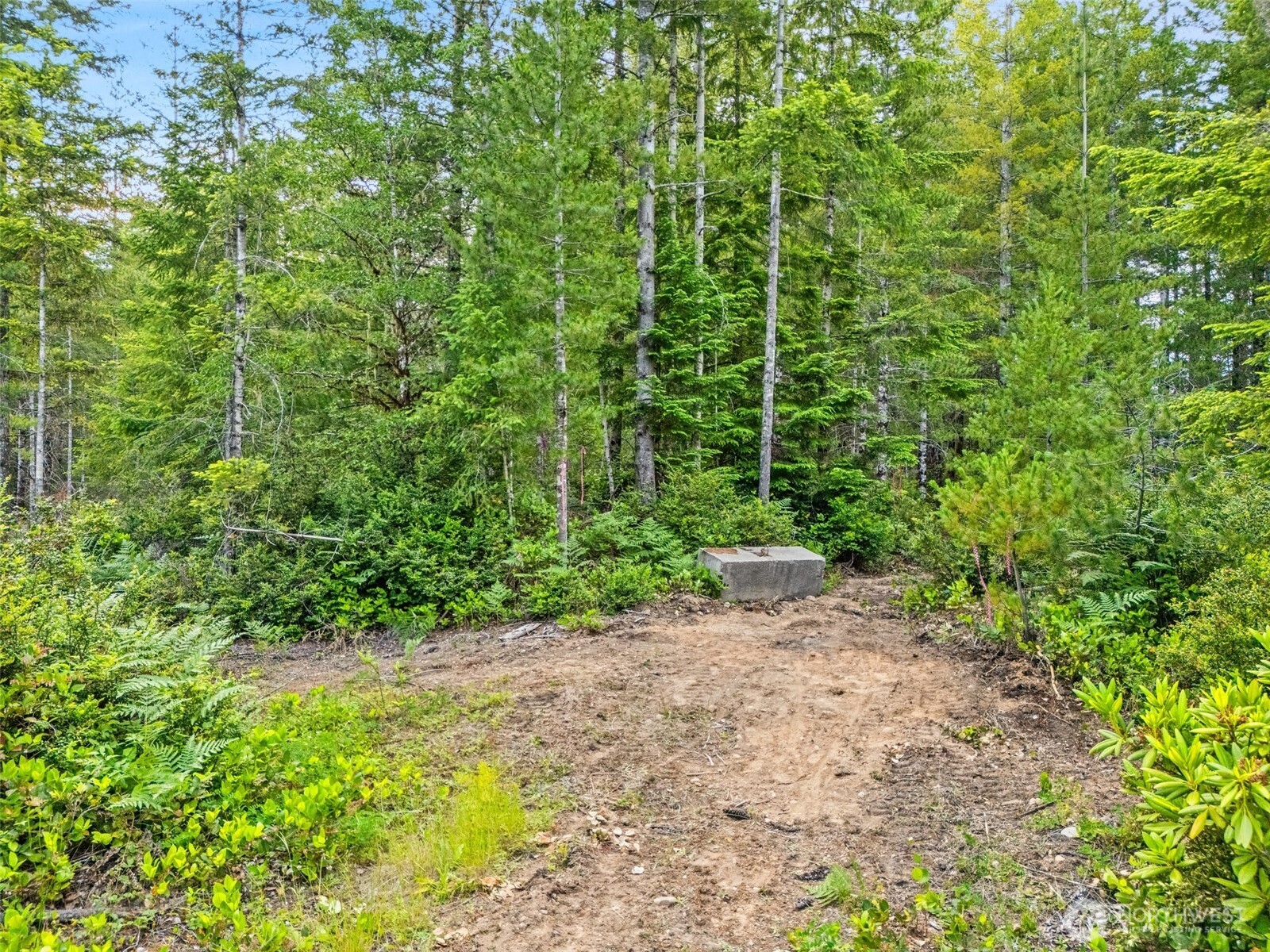 400 Ne Trudeau Mountain Road Property Photo 8