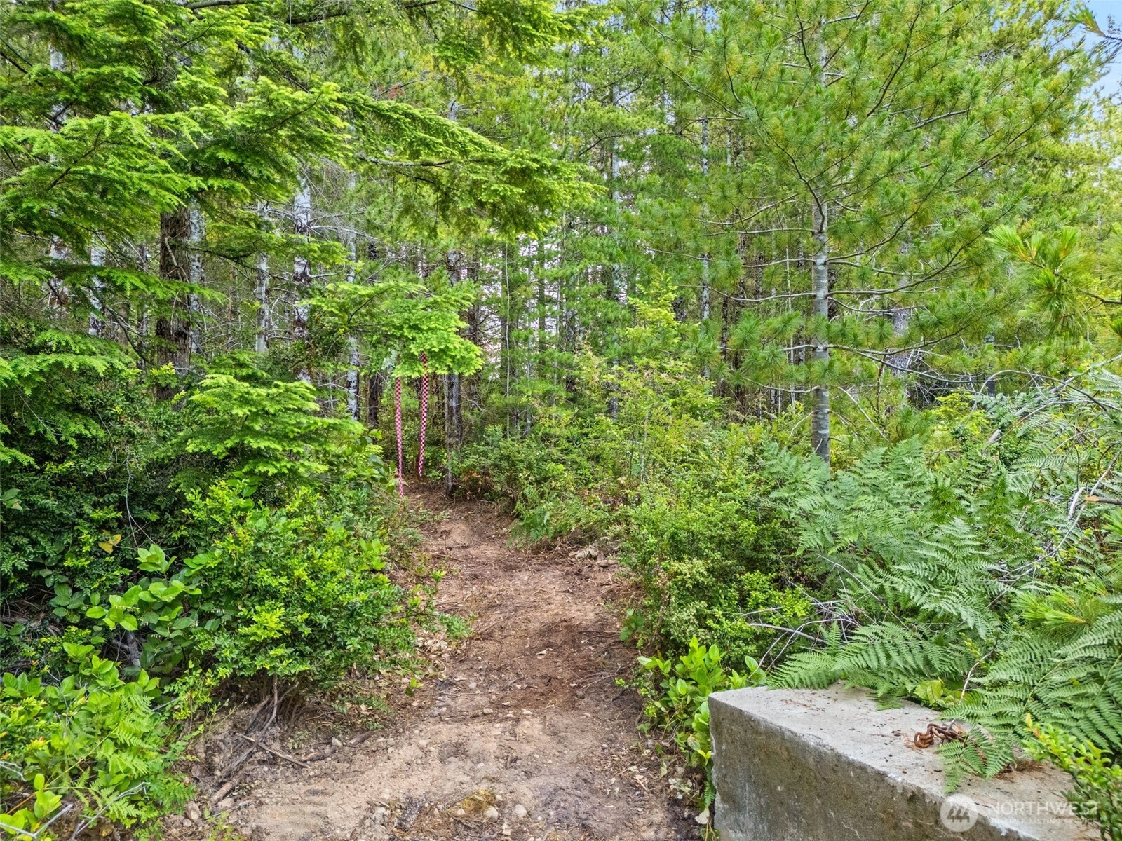 400 Ne Trudeau Mountain Road Property Photo 9