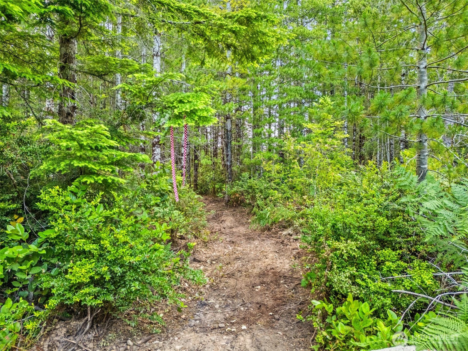 400 Ne Trudeau Mountain Road Property Photo 10